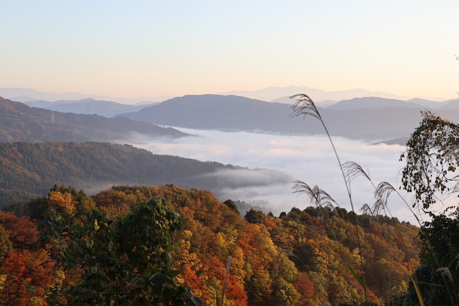 こんにちは、山の民です｜山の民