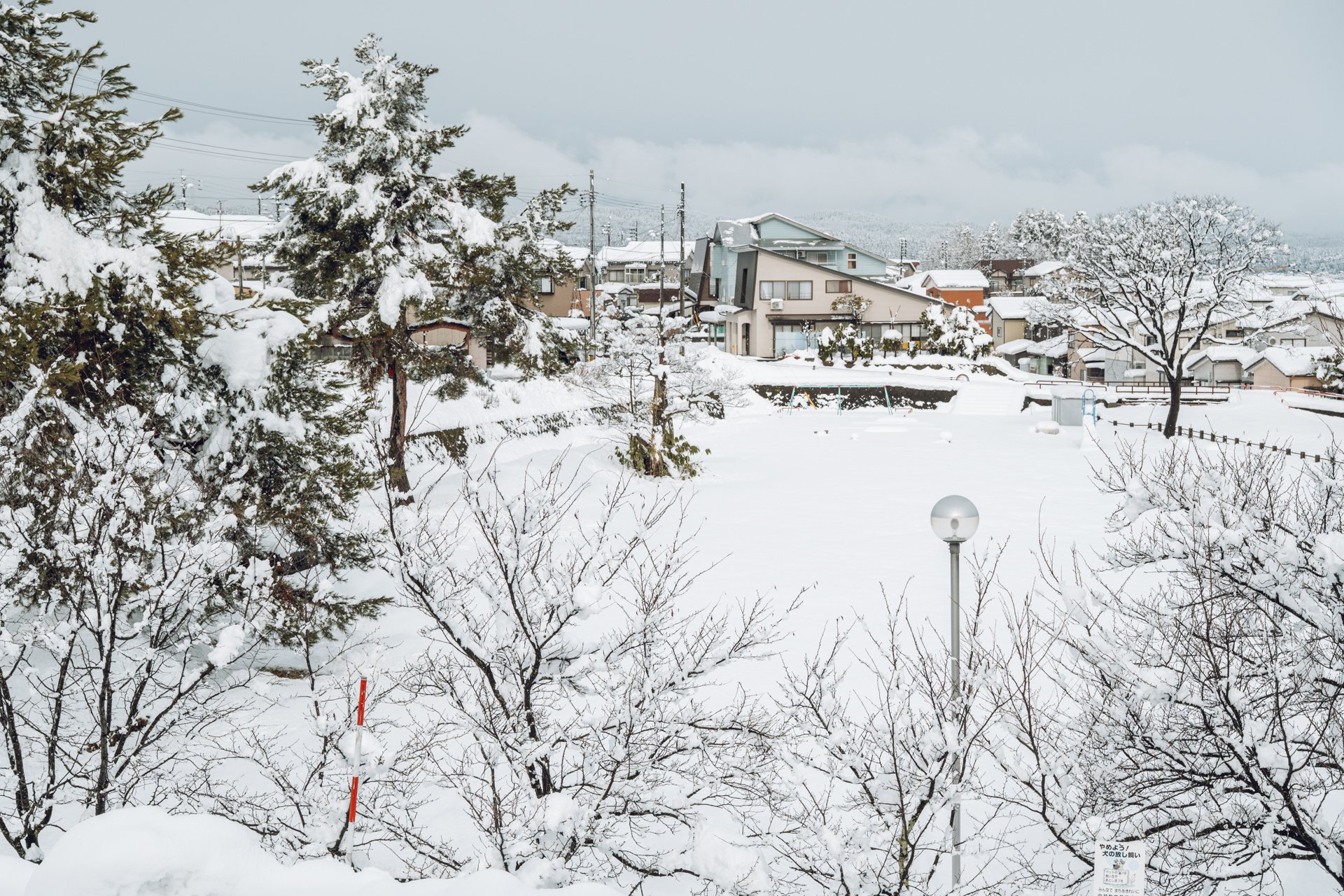 Zな年末年始｜幽霊のカメラ