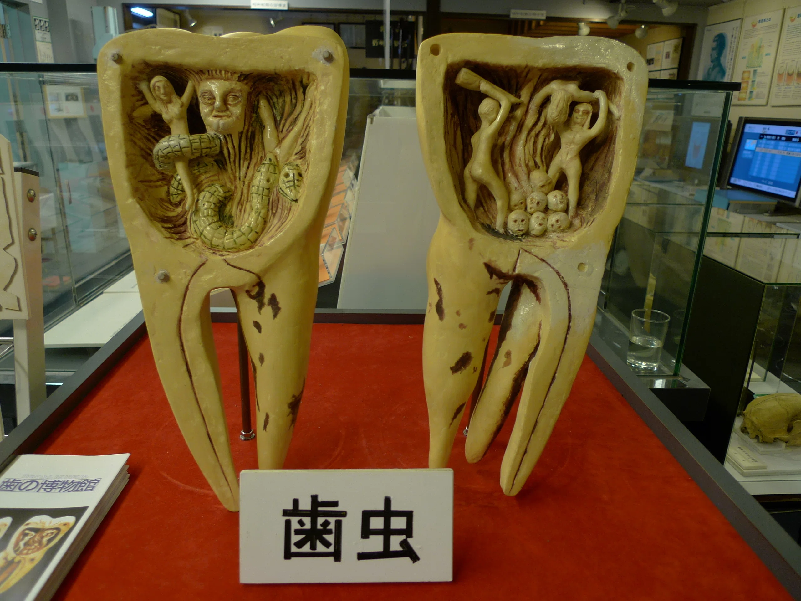 名古屋】マニアックすぎる！「歯の博物館」で見るディープな歯科の世界