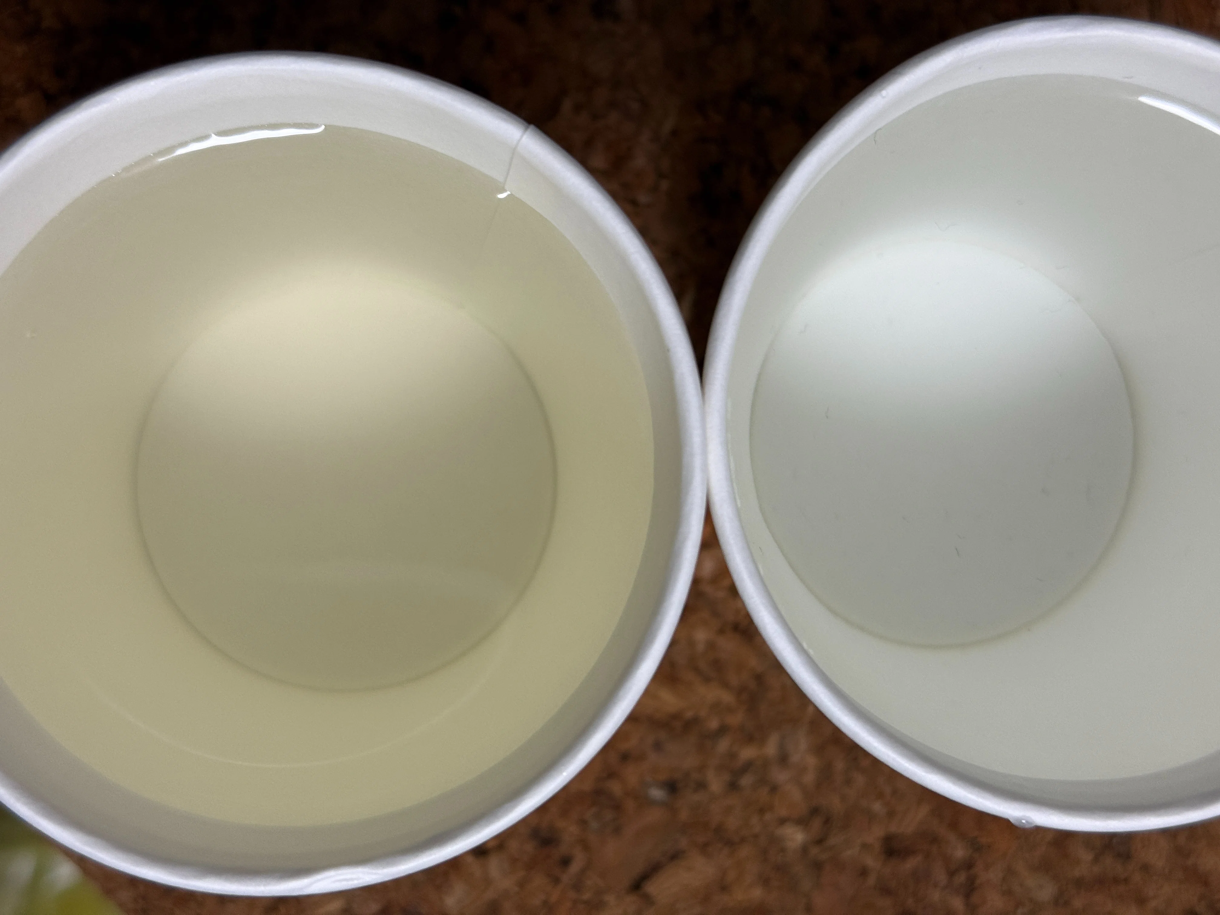 水道】謎のタイミングで水が茶色い【浄水器】｜aosagi