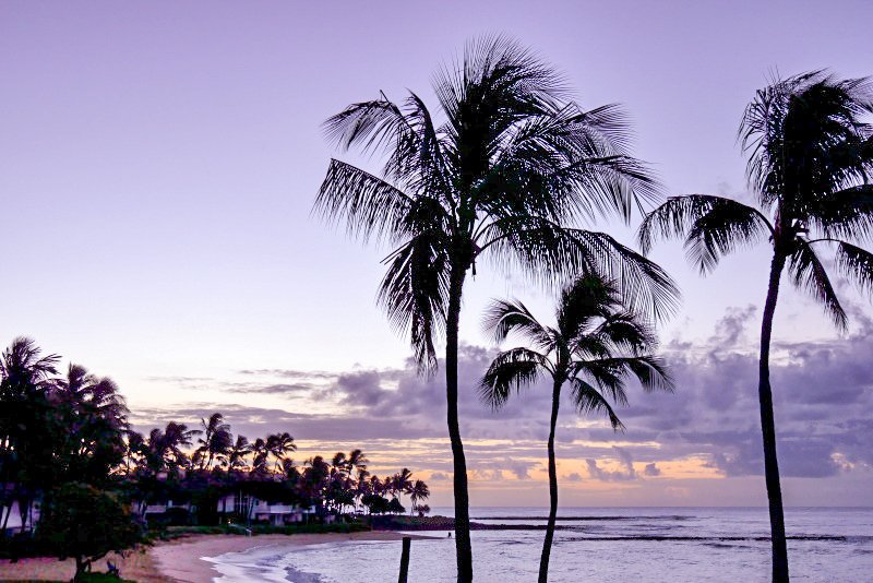 ハワイ『カウアイ島』から『オアフ島』へ｜海外旅行｜カメラと写真日記