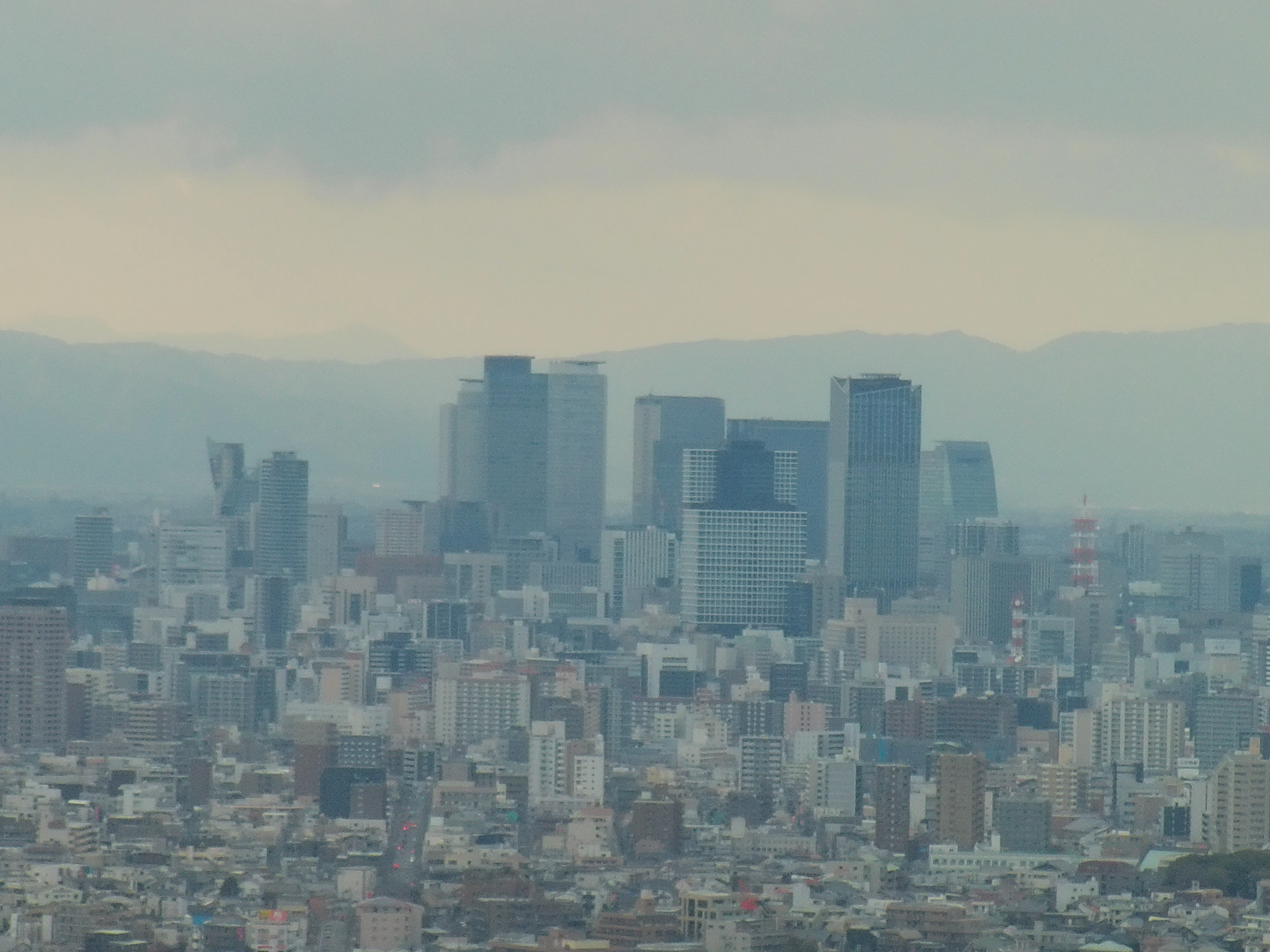 Writing about Higashiyama Zoo and Botanical Gardens for 1 Month