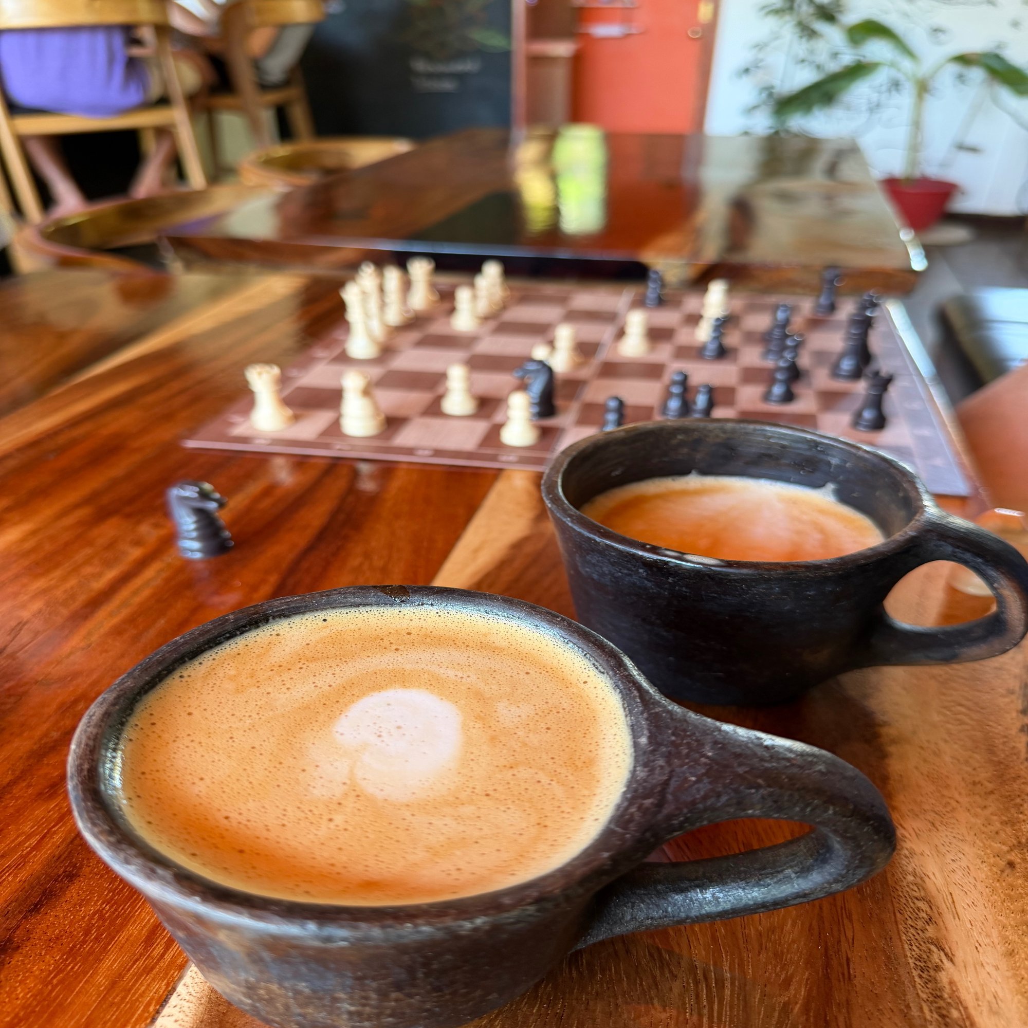 ビットコインビーチでビットコインで支払うことの意義 （The Meaning of Paying with Bitcoin at Bitcoin  Beach）｜インバウンド＠地球