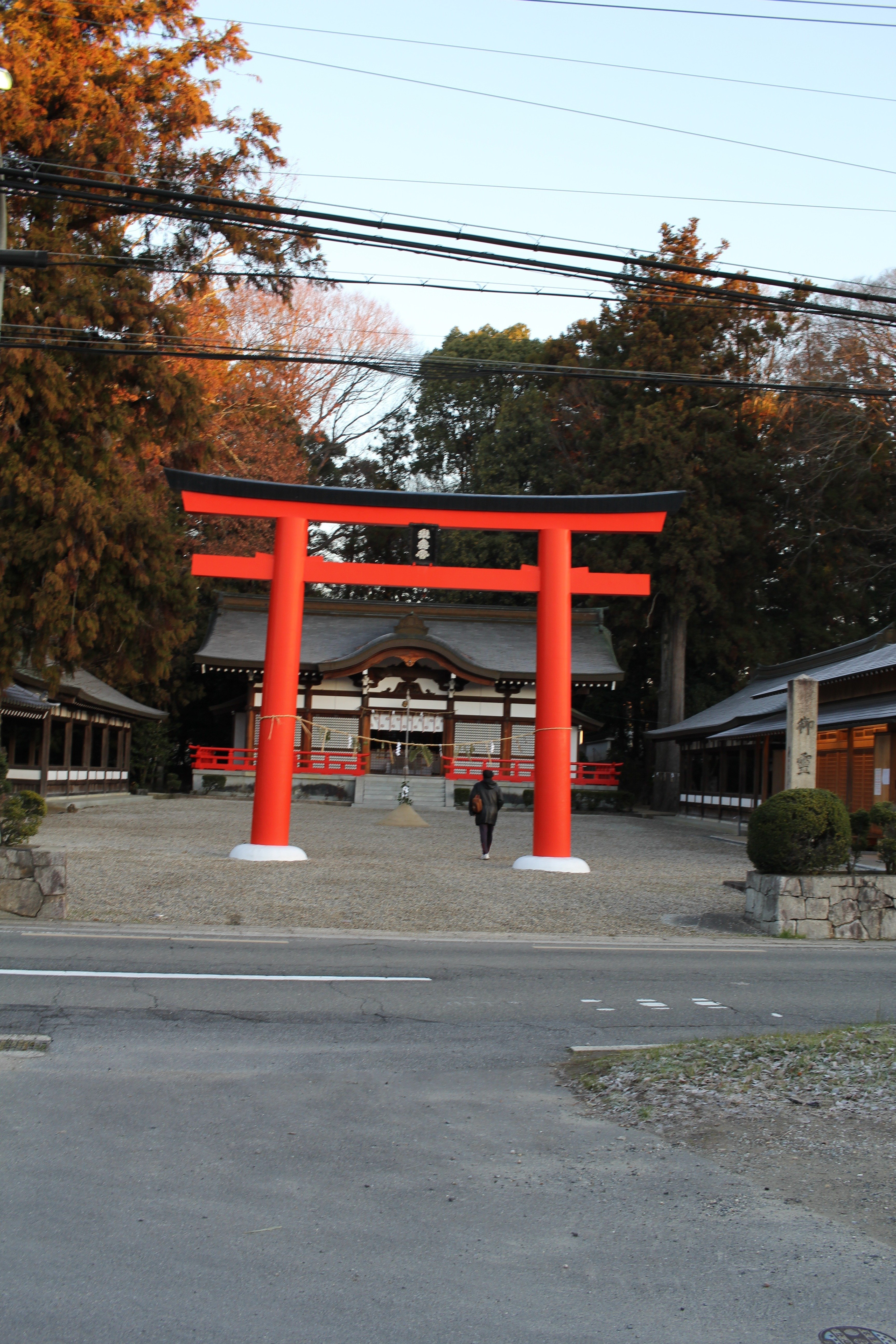淡路島旅行。2026年1月｜藤内穂高（ふじうちほだか・Fujiuchi