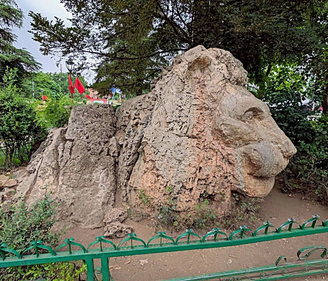 モロッコのスイス？森に眠るライオン像とイフランの静かな時間 