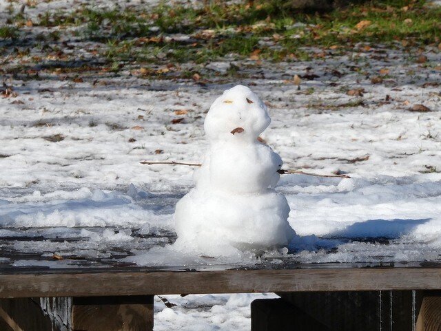 雪だるまコレクション 2026｜waiwai