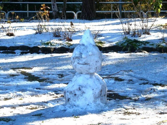 雪だるま 雪だるまヌードルクリップ | カプセルコレクション | 株式会社ターリン
