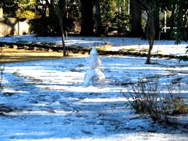 雪だるまコレクション 2026｜waiwai