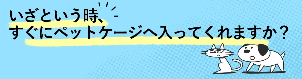 いざという時、すぐにペットケージに入ってくれますか？