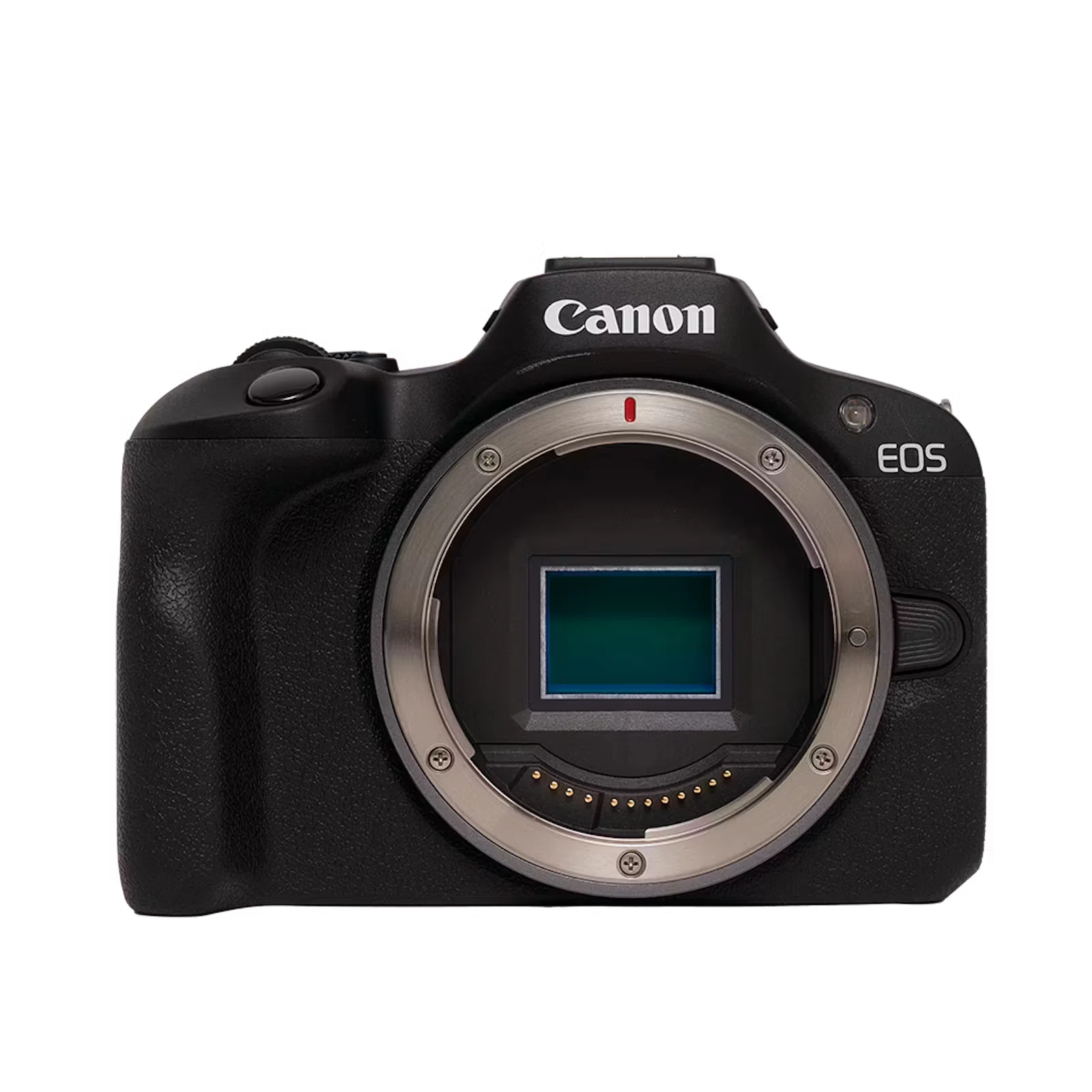 10万円で購入）Canonデジタル一眼レフ