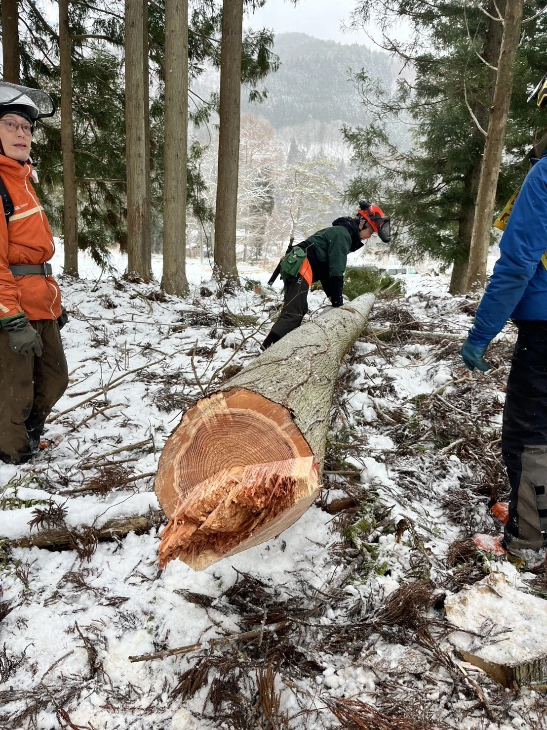 林内作業車メンテナンスと 冬の伐木・造材・集材作業⛄|加藤純 京津畑地域おこし協力隊