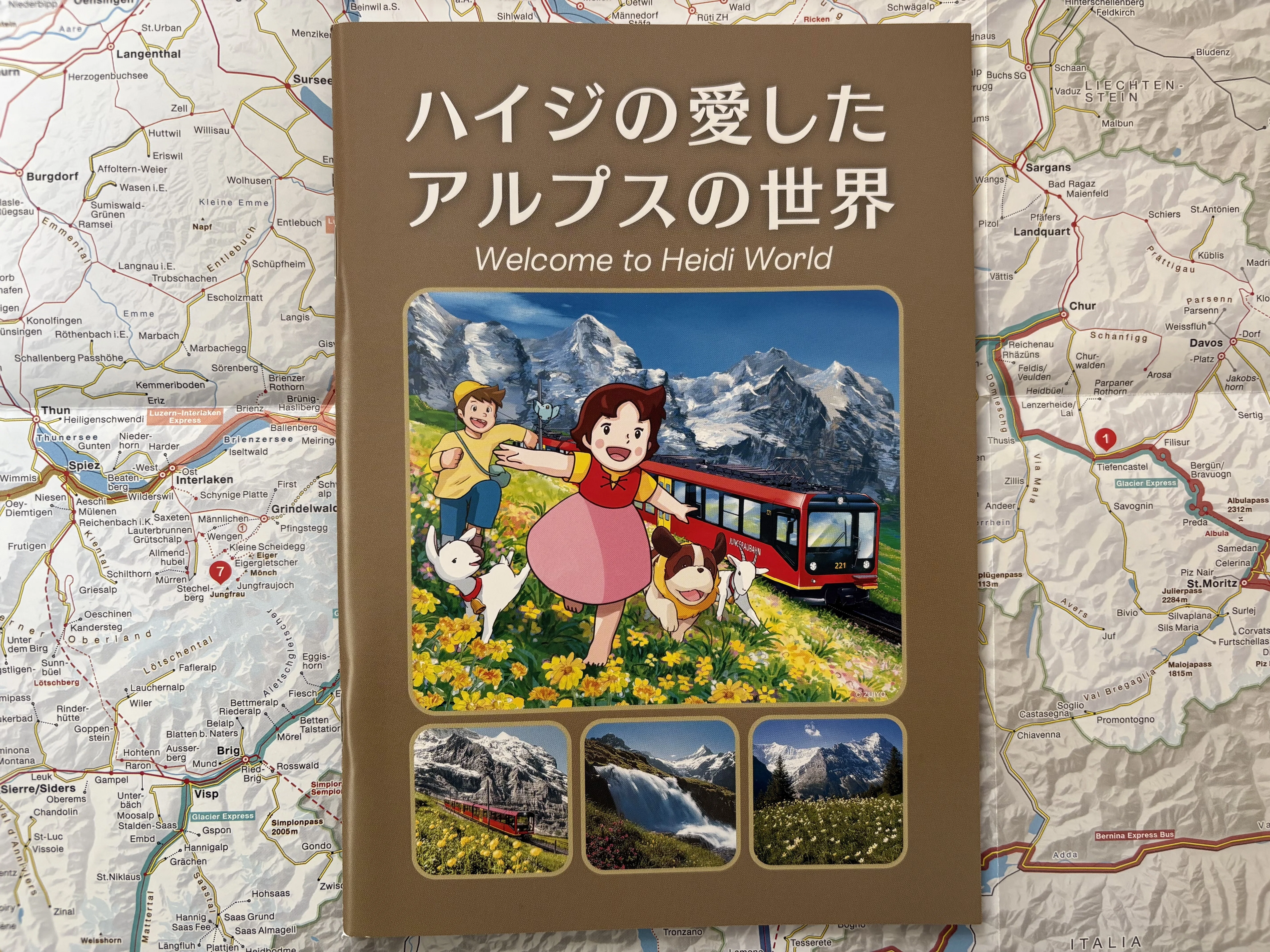 ハイジに なりたい🌲スイス旅行準備🇨🇭｜皆既日食