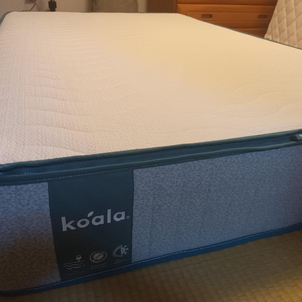 コアラマットレスプラス厚み