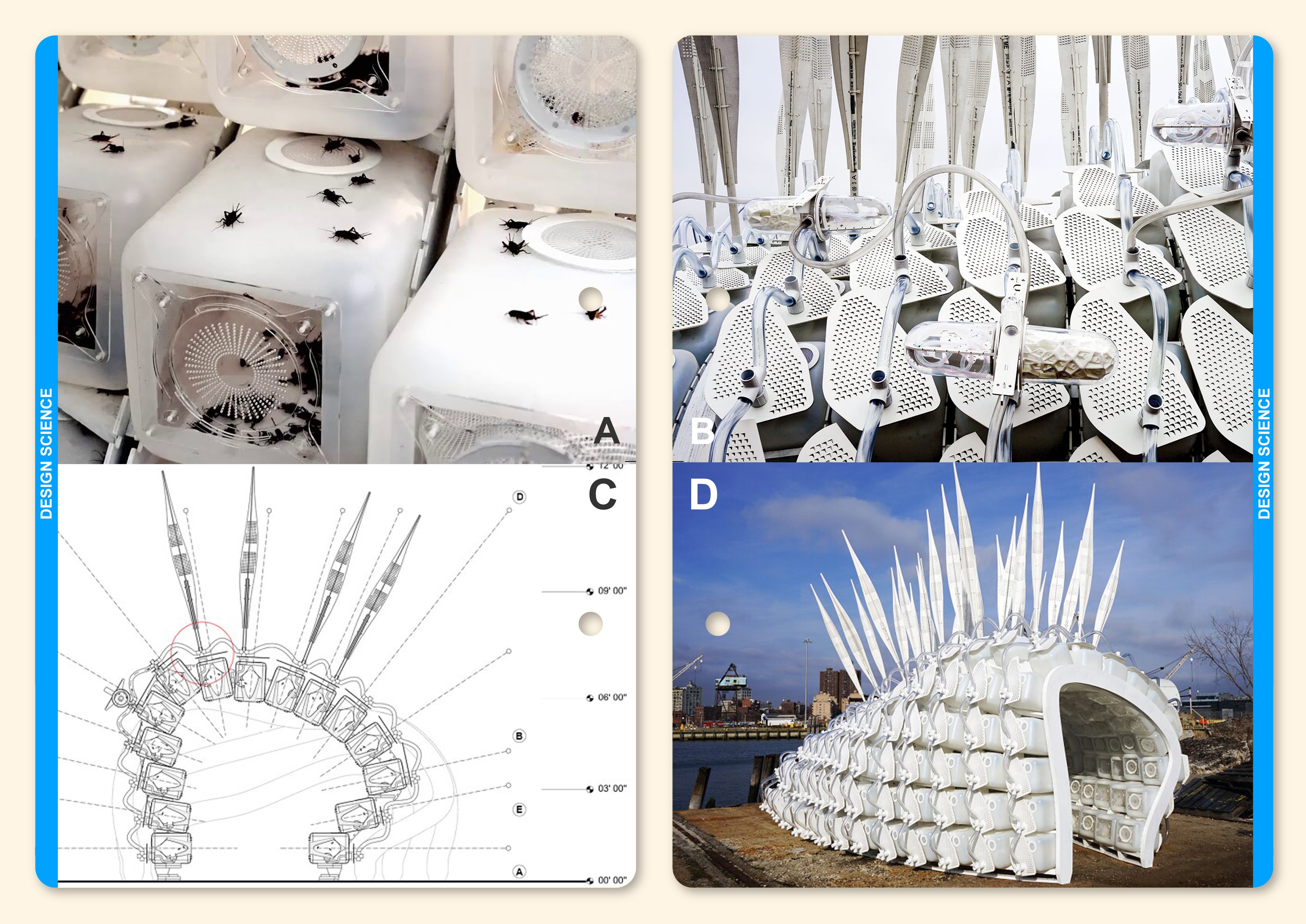 デザインサイエンス（04: 農業）「16_昆虫食プロジェクト・ENTOMFARM_1