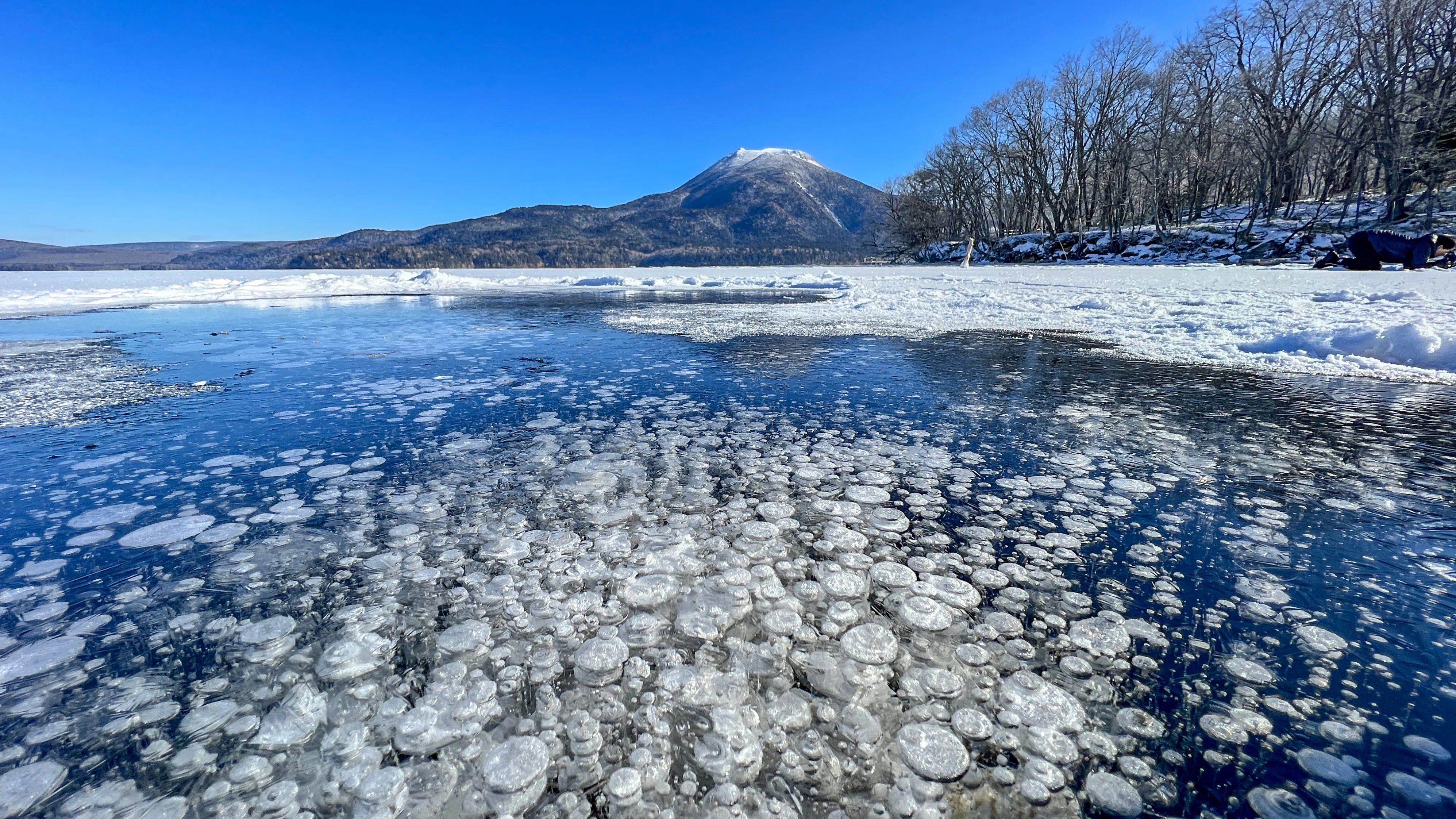 北海道】冬の阿寒湖｜アイスバブルの見頃は短い。だから“出会える設計