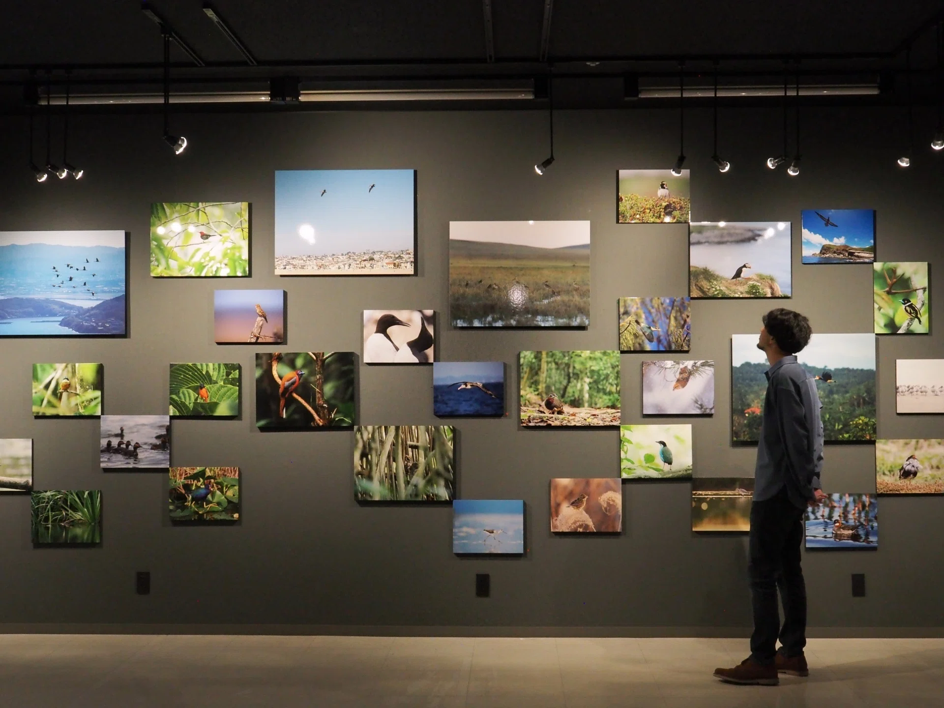 ショウジョウトキから始まった、想像を超える旅。菅原貴徳写真展