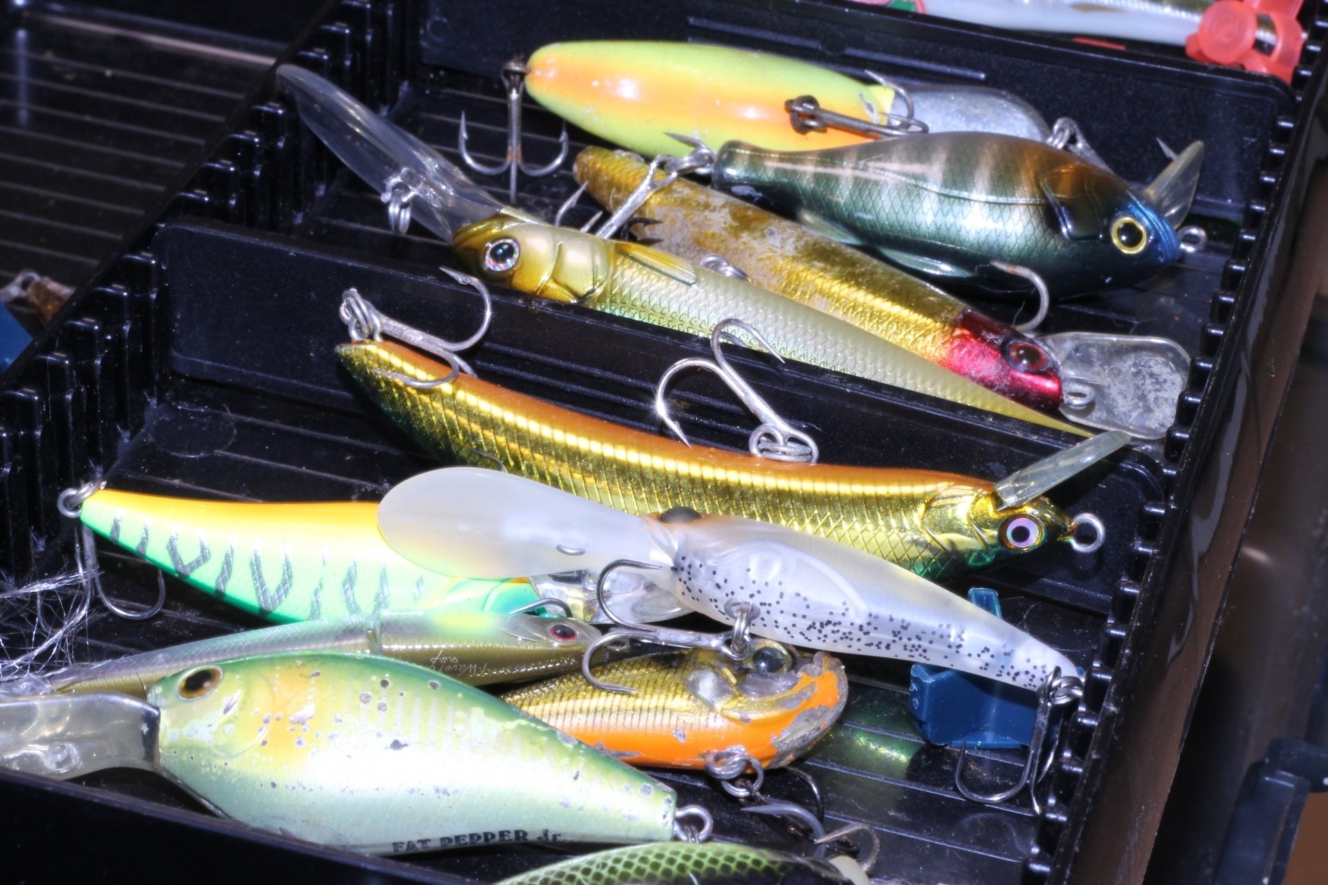 失敗しないシマノのタックルボックス選び！店員が本音で語る厳選5つ