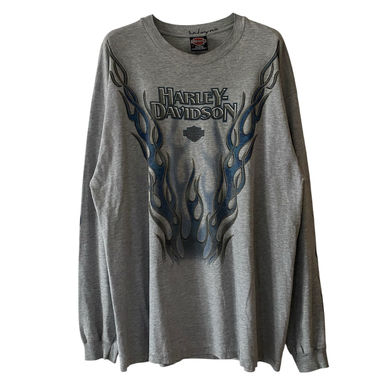 HARLEY DAVIDSON Blue flame ルーニーチューンズ HARLEY DAVIDSON Blue flame ルーニーチューンズ HARLEY DAVIDSON Blue