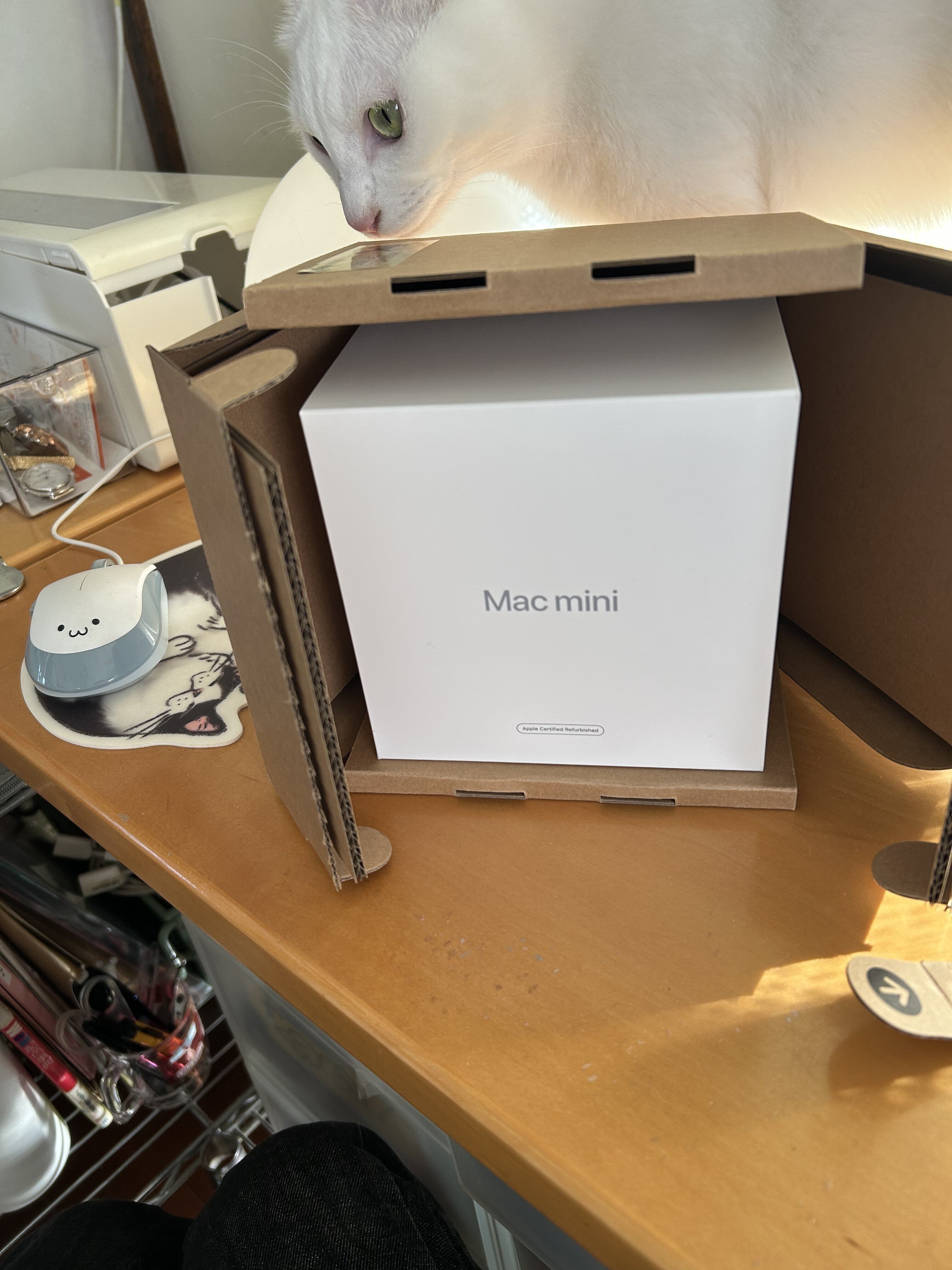 Mac mini M4がやってきた｜久居