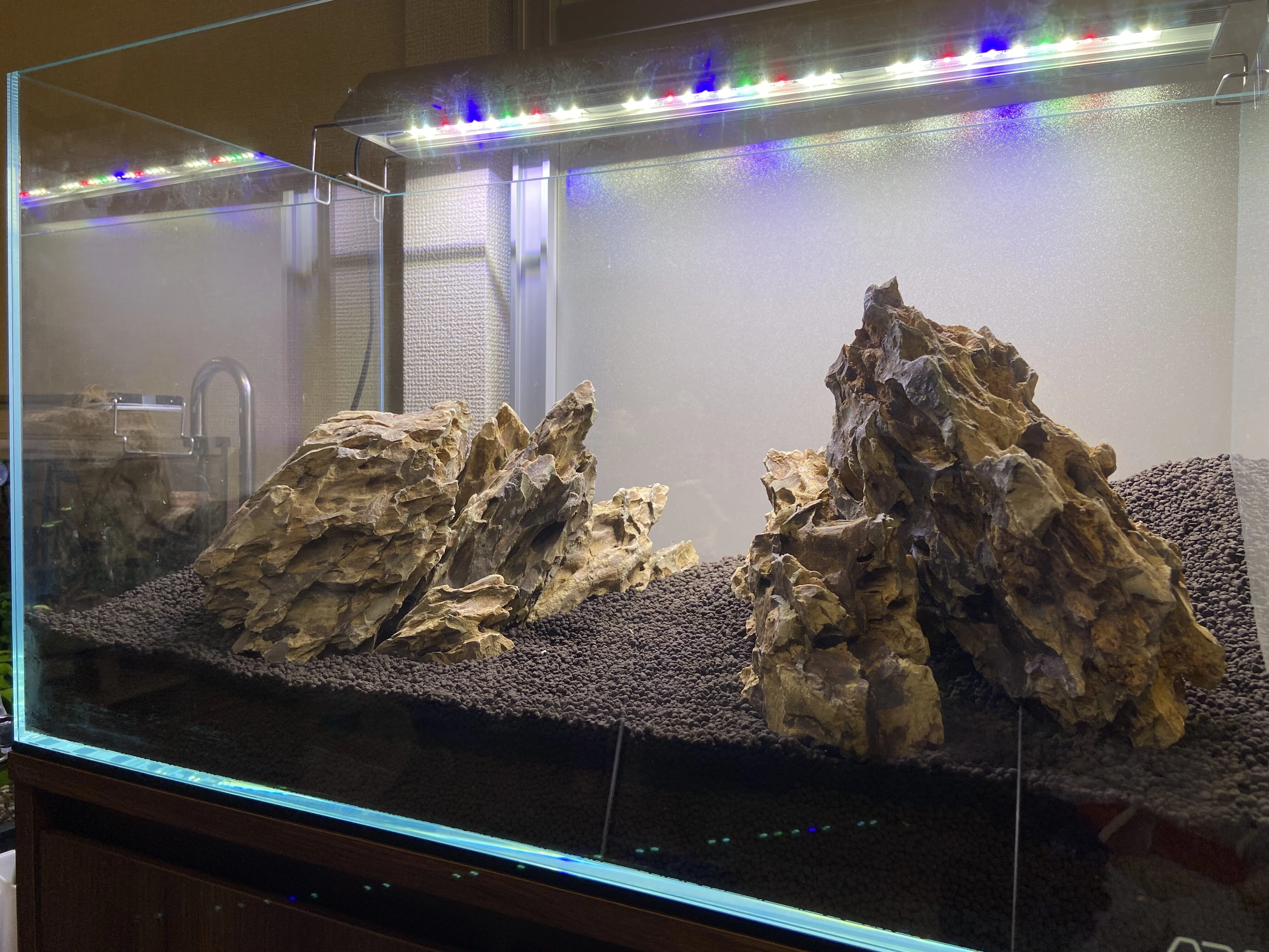 アクアリウム】60cm水槽ミスト式管理〜注水まで|たけのこ@サイドFIRE アクアリウム】60cm水槽ミスト式管理〜注水まで|たけのこ@サイドFIRE