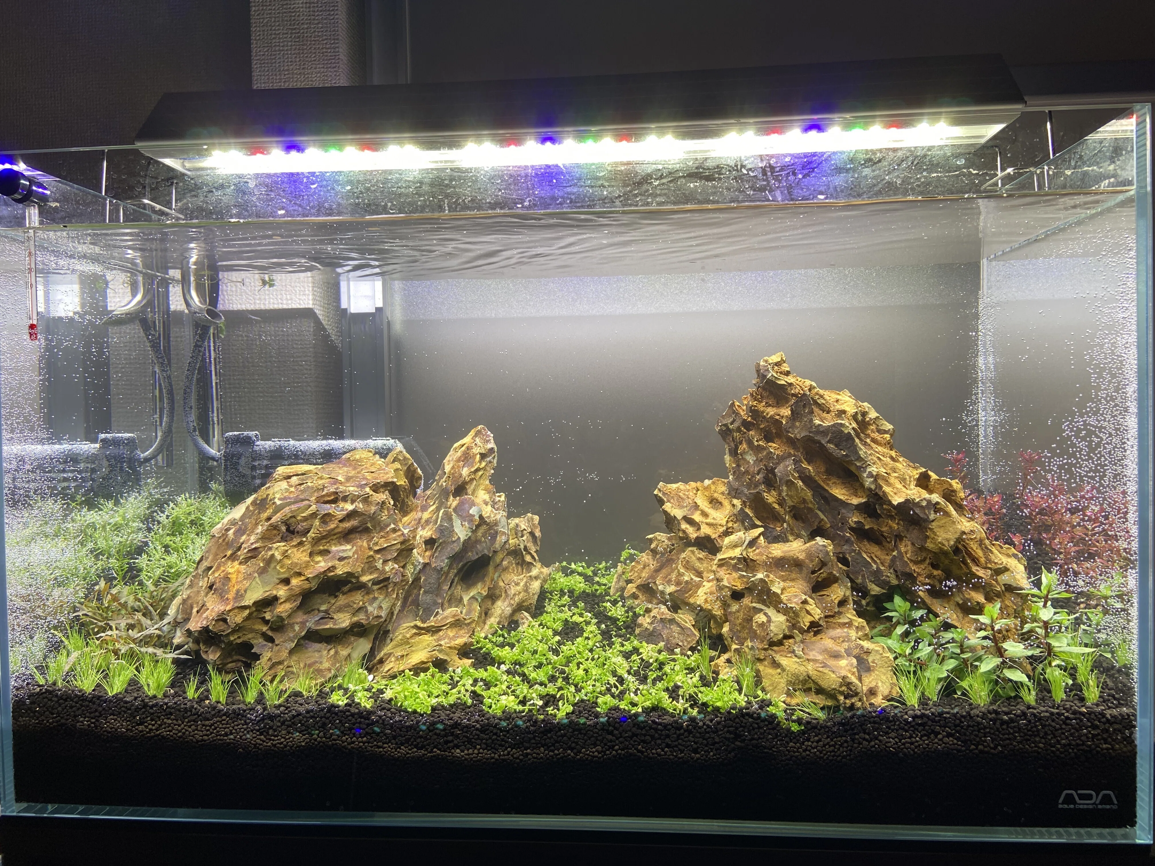 アクアリウム】60cm水槽ミスト式管理〜注水まで|たけのこ@サイドFIRE アクアリウム】60cm水槽ミスト式管理〜注水まで|たけのこ@サイドFIRE