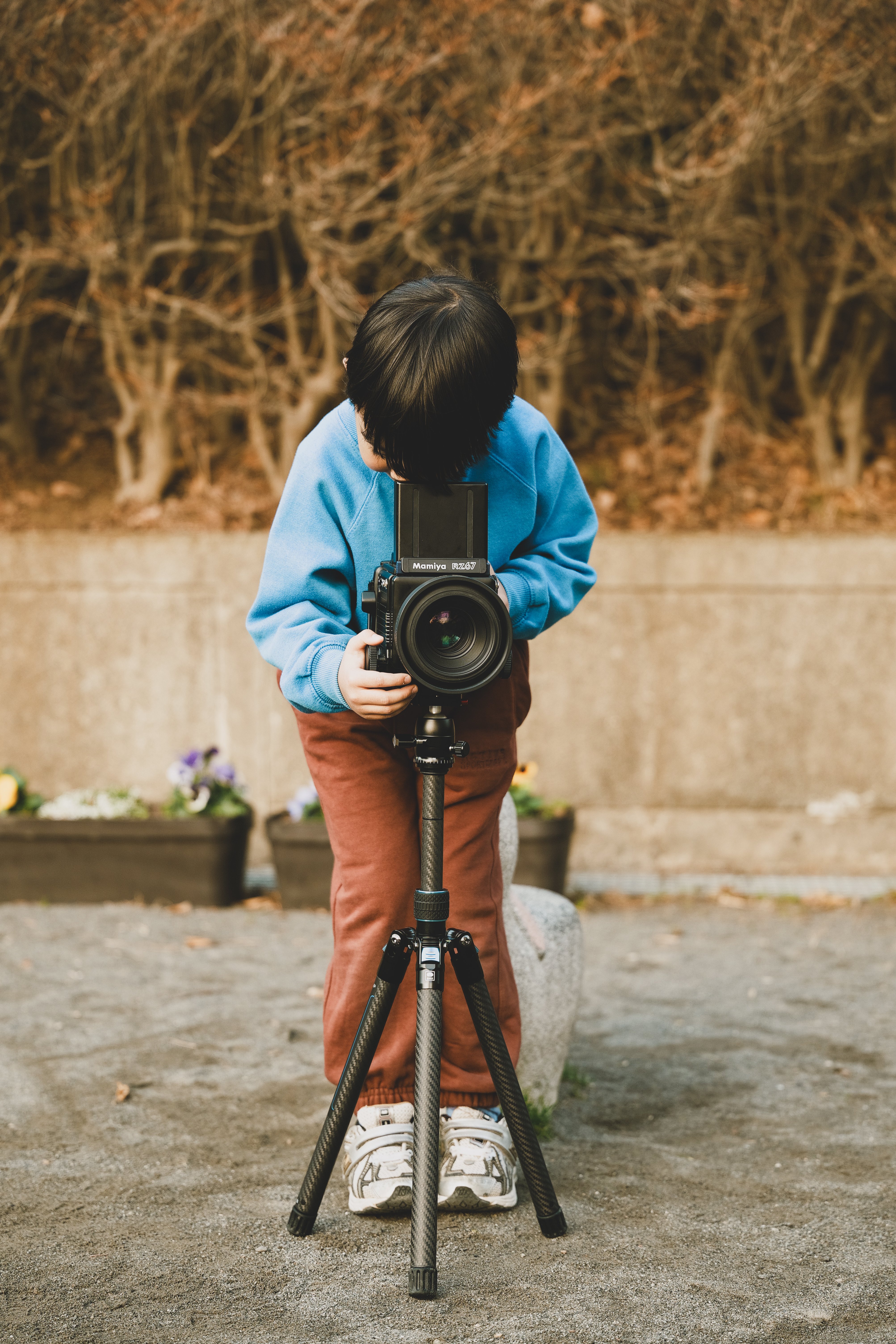 写真日記 #SigmaBF #2025年12月｜マミヤシンスケ