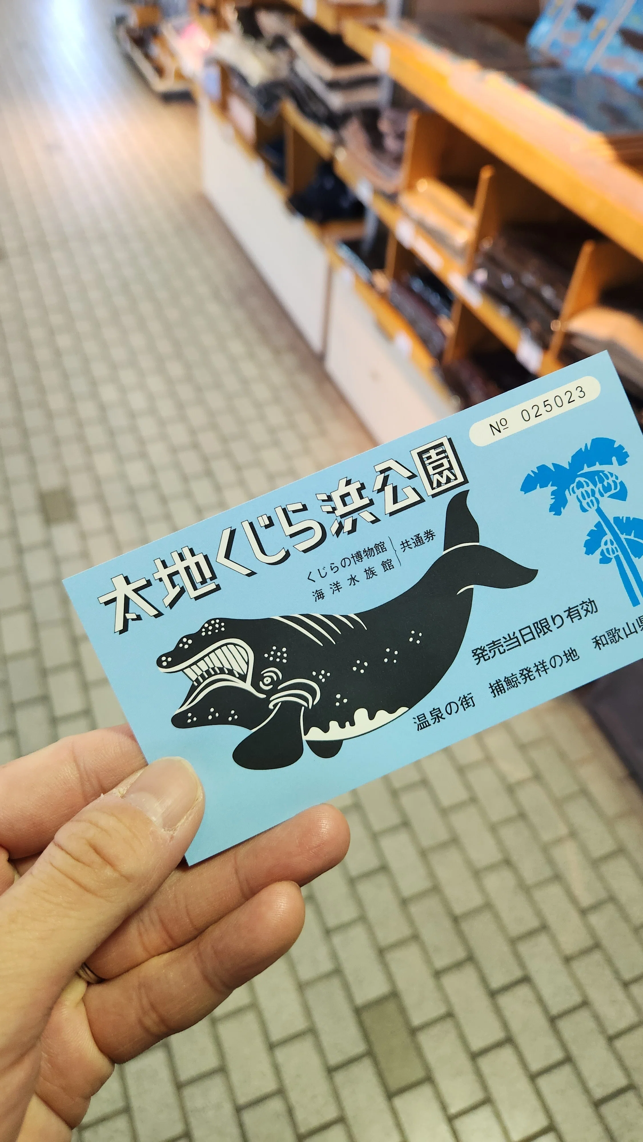 クジラ夜の街 太地へ【和歌山県観光レポ】｜前髪