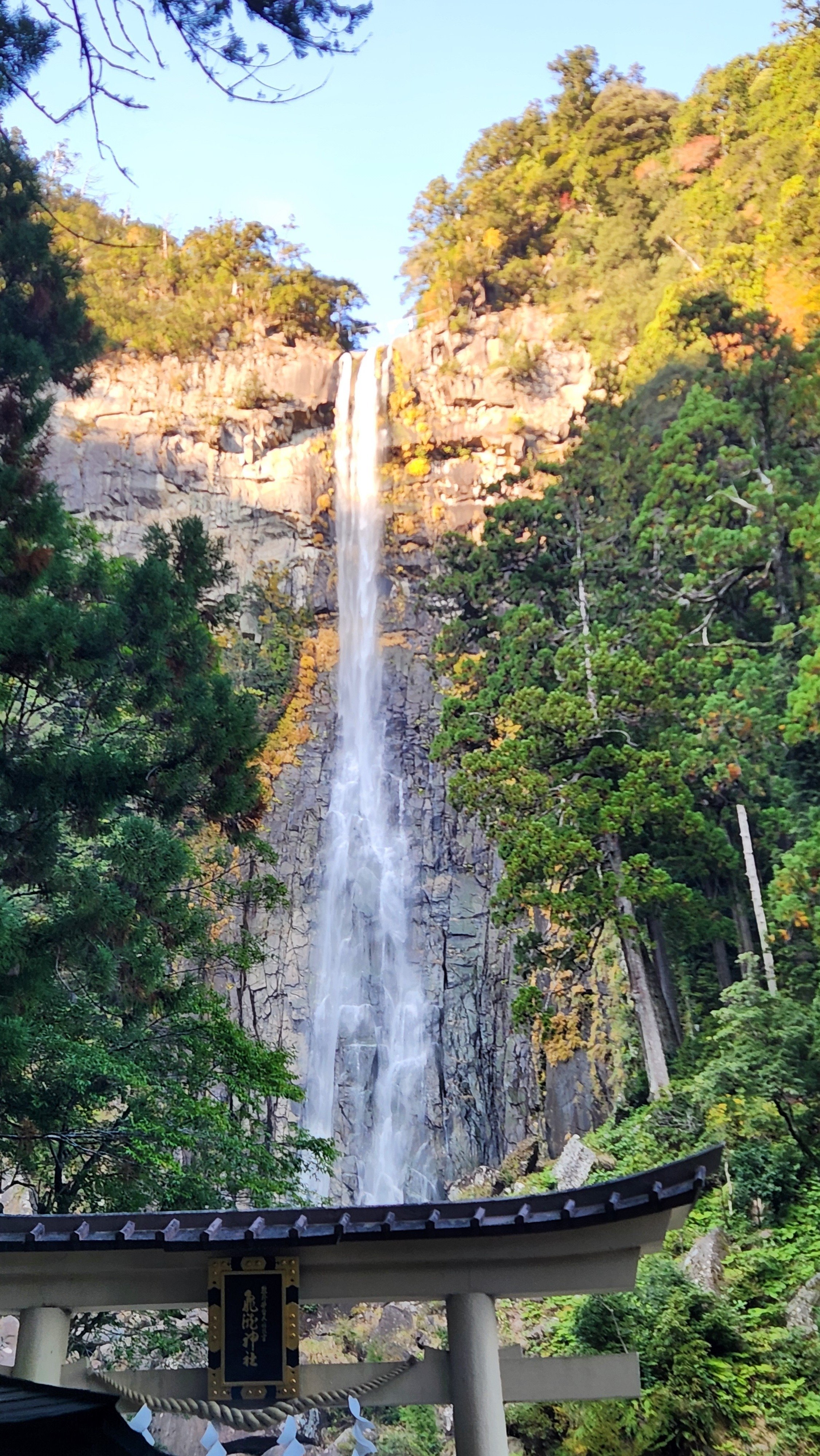クジラ夜の街 太地へ【和歌山県観光レポ】｜前髪