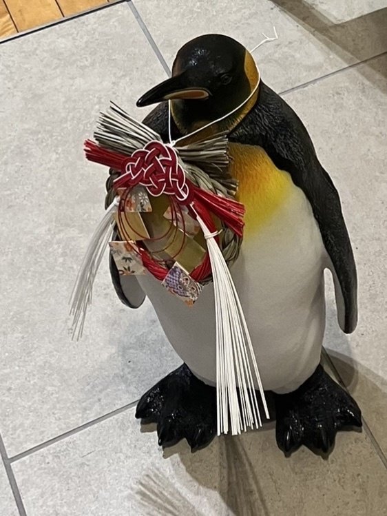 ペンギンとちゃんぽん｜豆大福/Yuriex