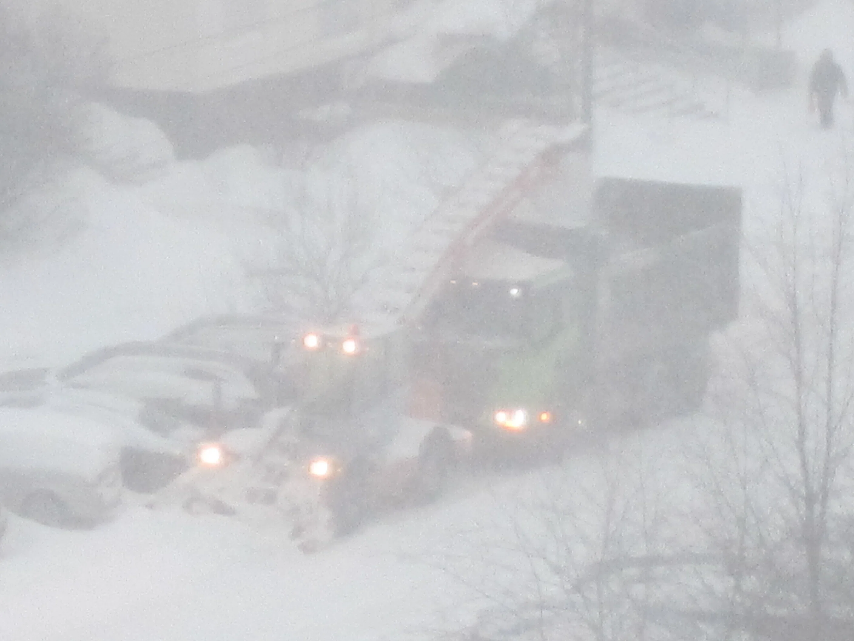 モスクワに雪が降ると…｜チェブラーシカ