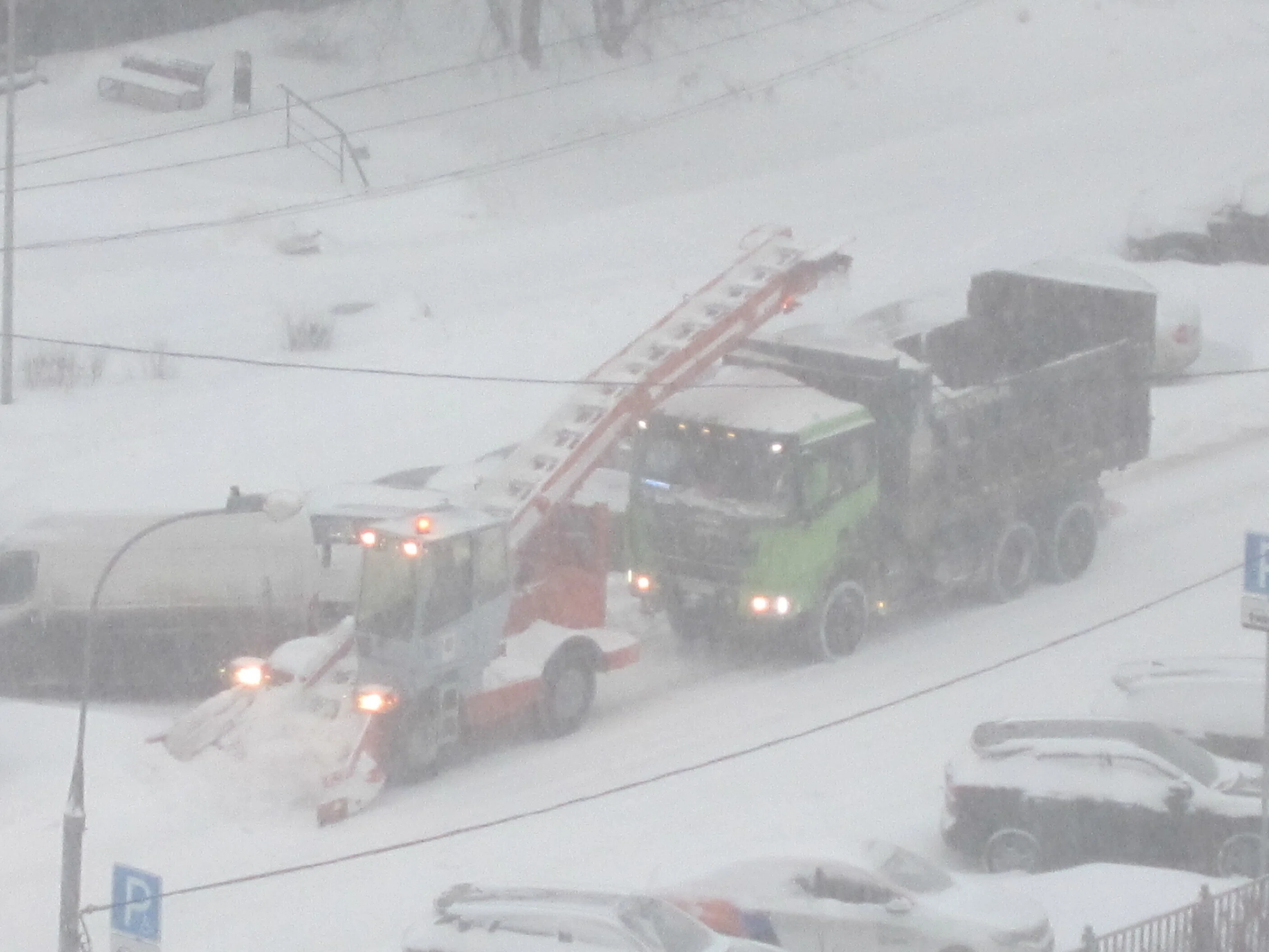モスクワに雪が降ると…｜チェブラーシカ