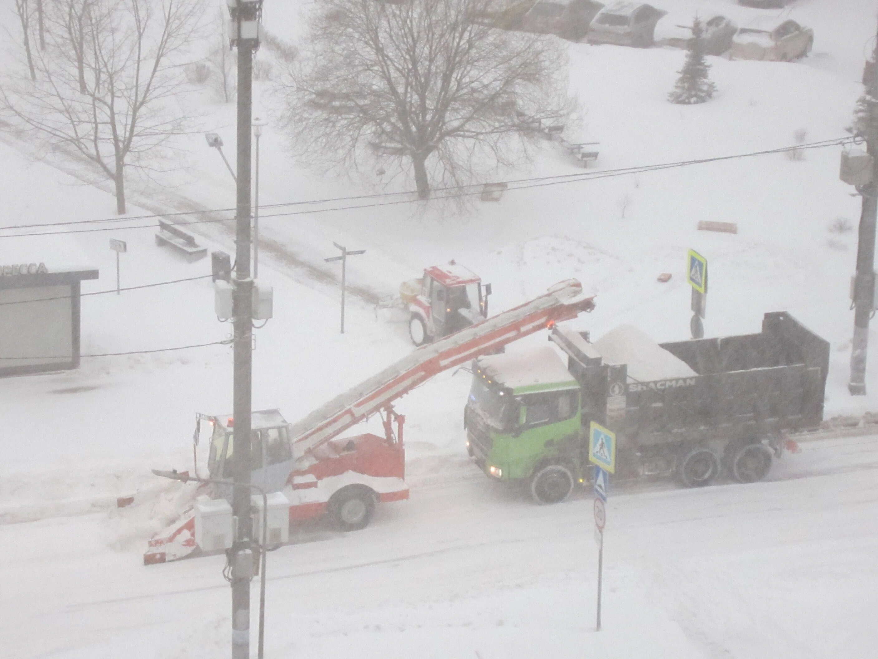 モスクワに雪が降ると…｜チェブラーシカ
