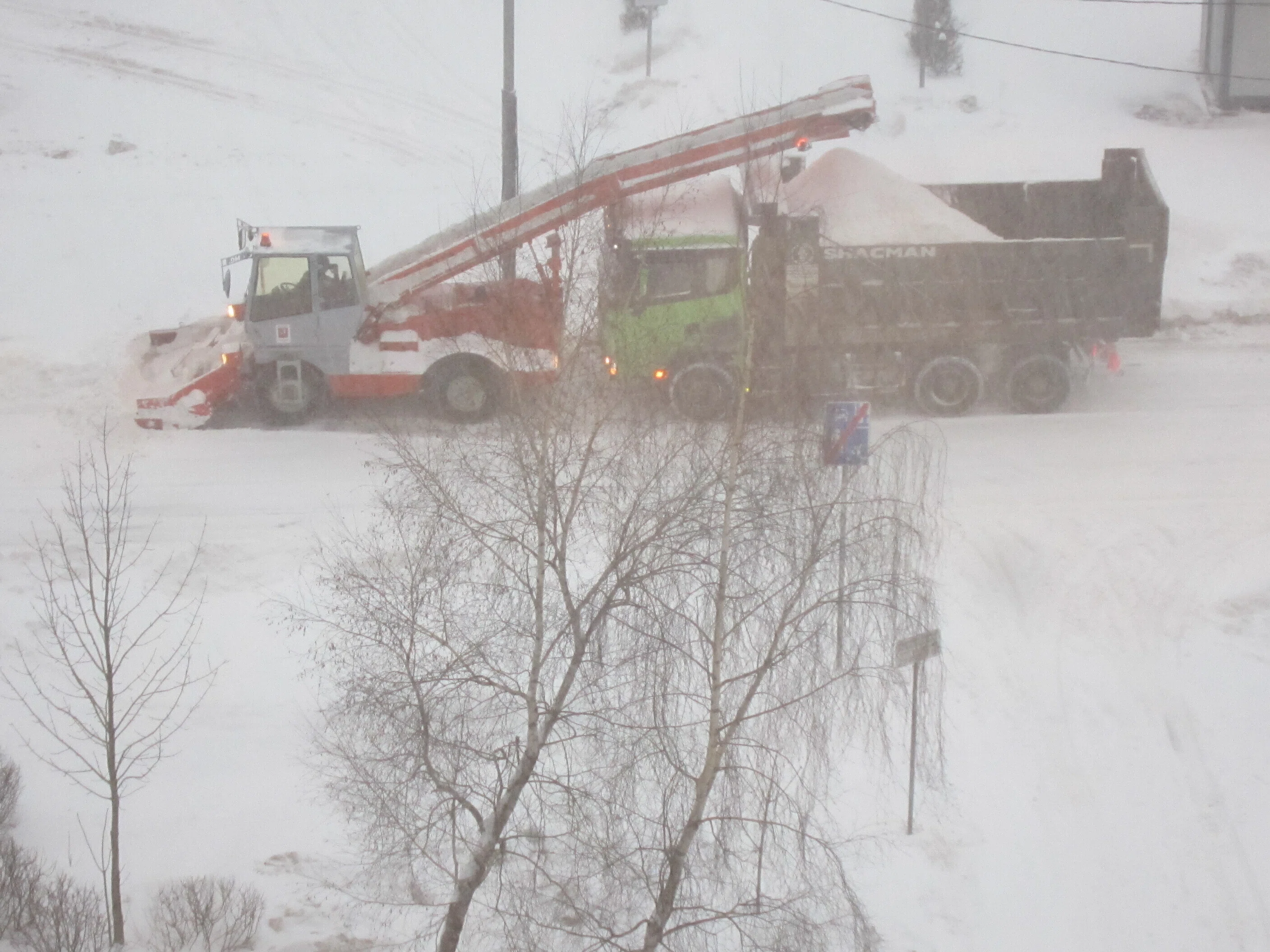 モスクワに雪が降ると…｜チェブラーシカ