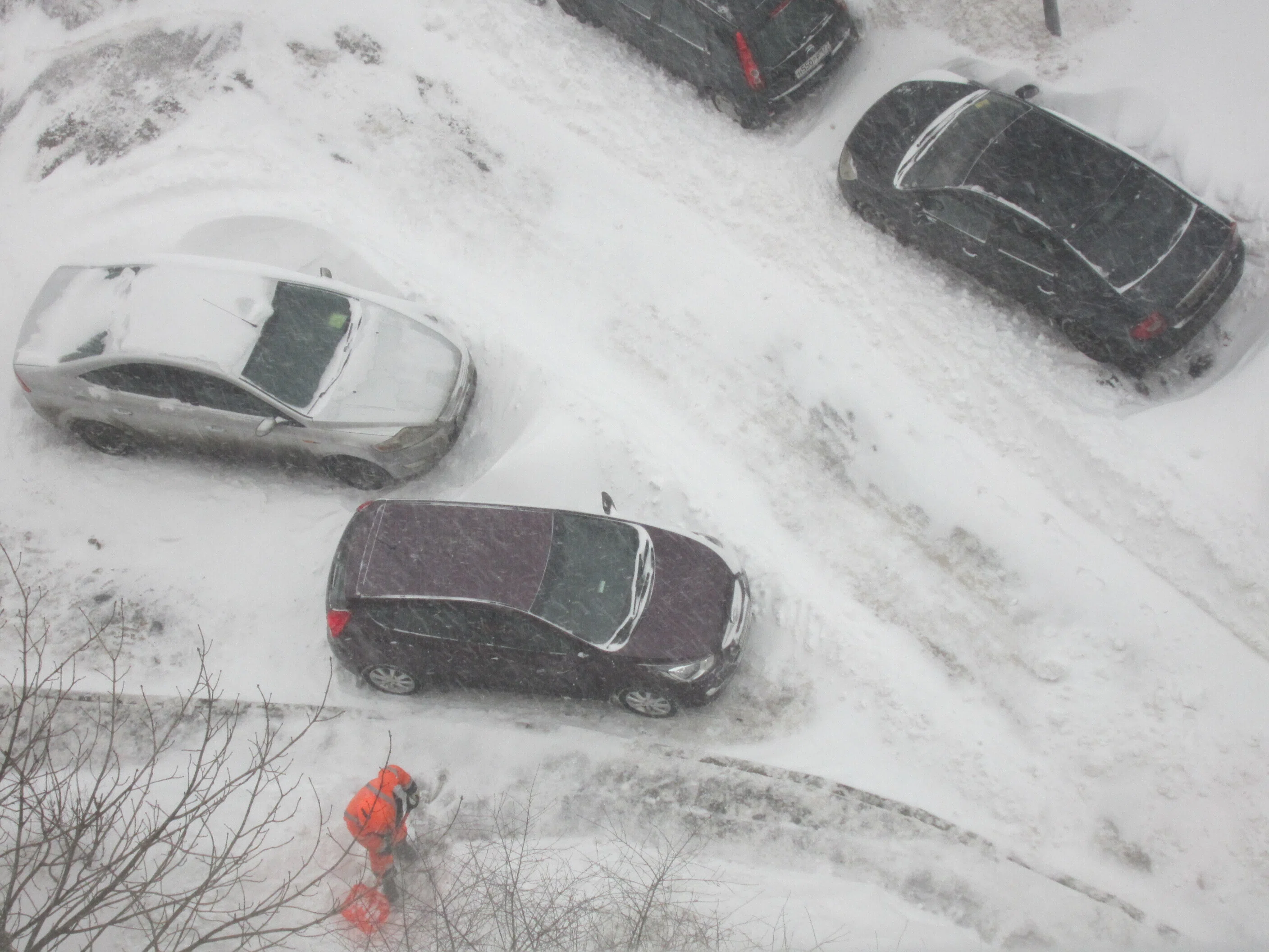 モスクワに雪が降ると…｜チェブラーシカ