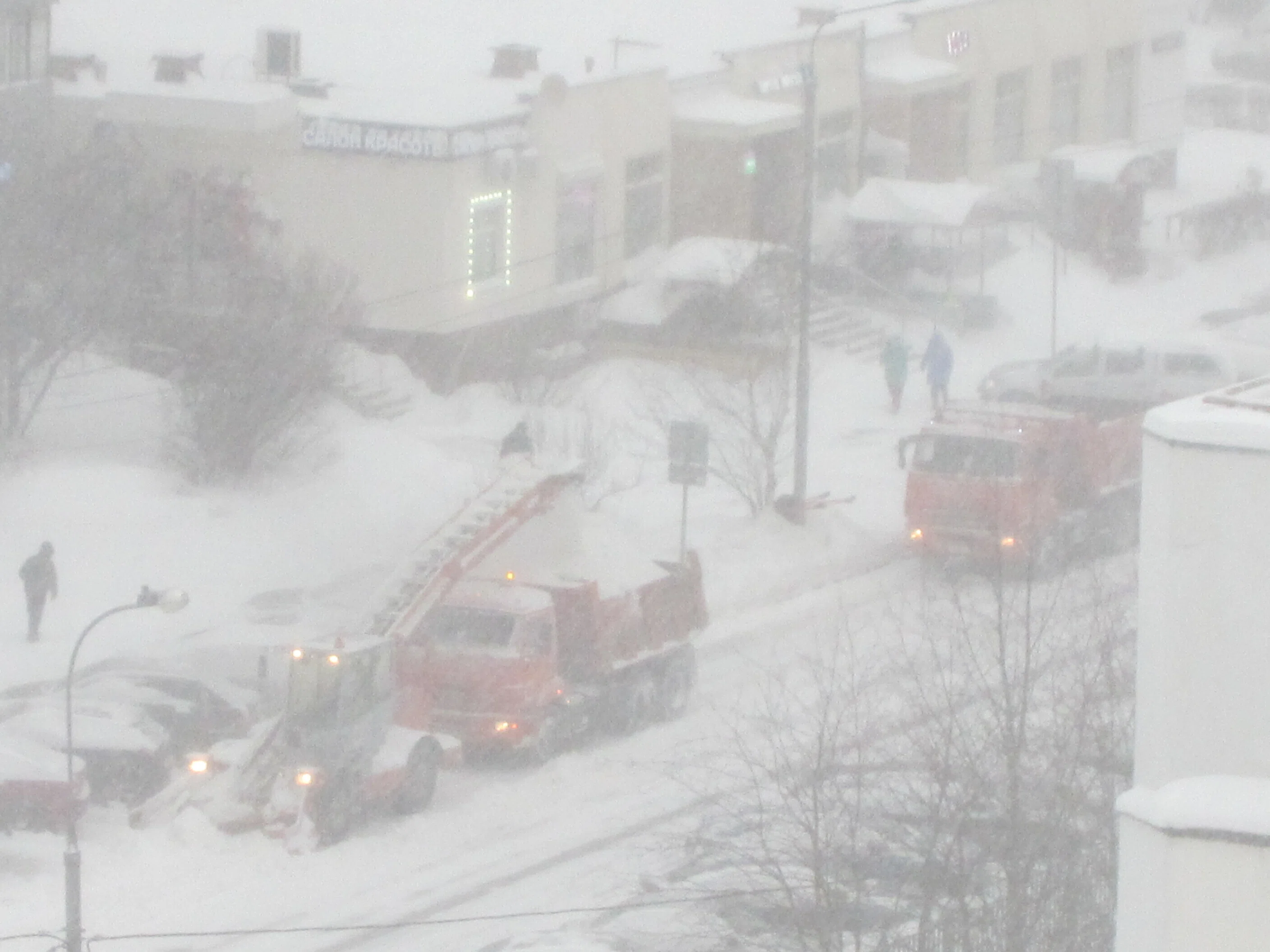モスクワに雪が降ると…｜チェブラーシカ