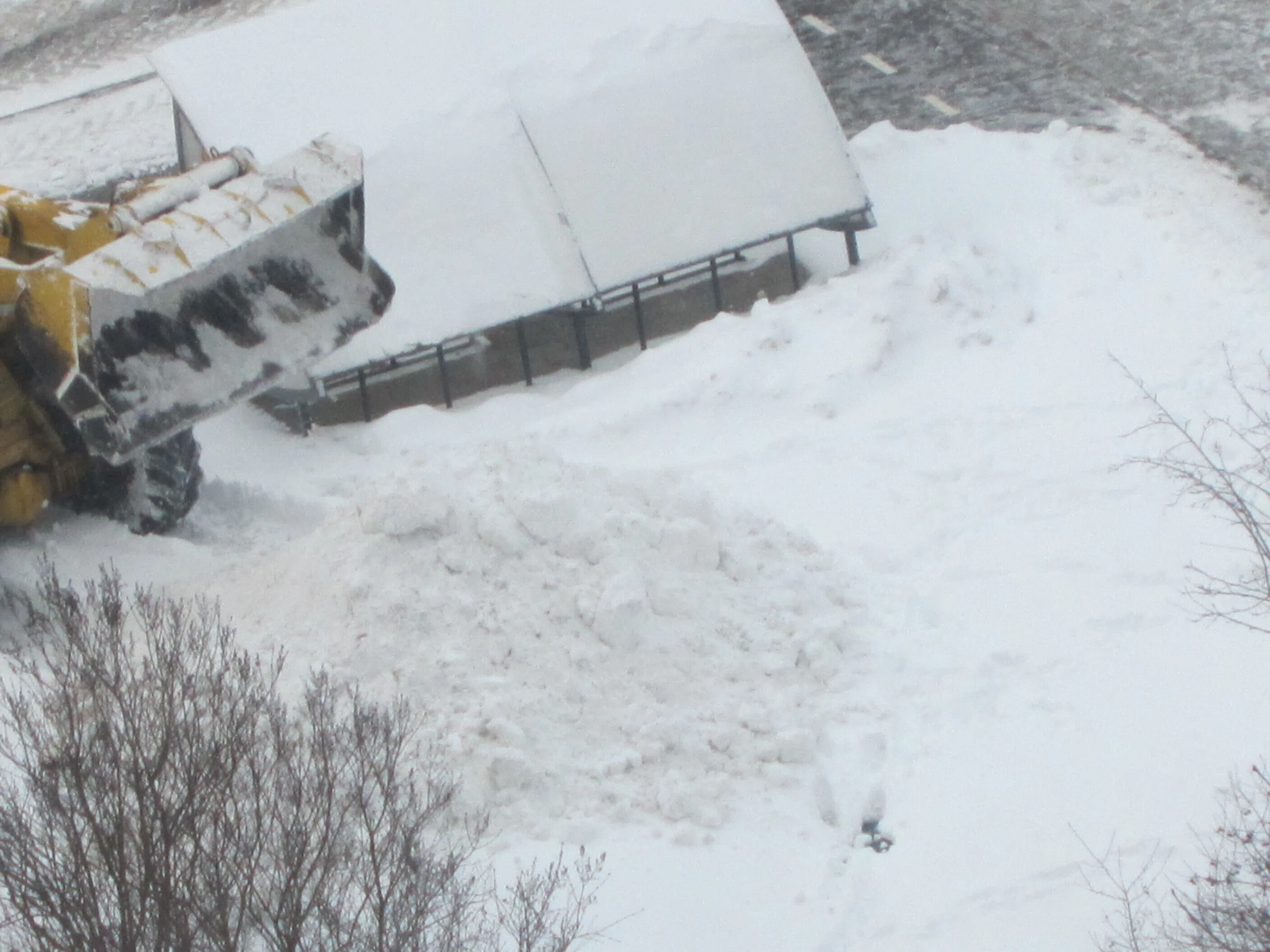 モスクワに雪が降ると…｜チェブラーシカ