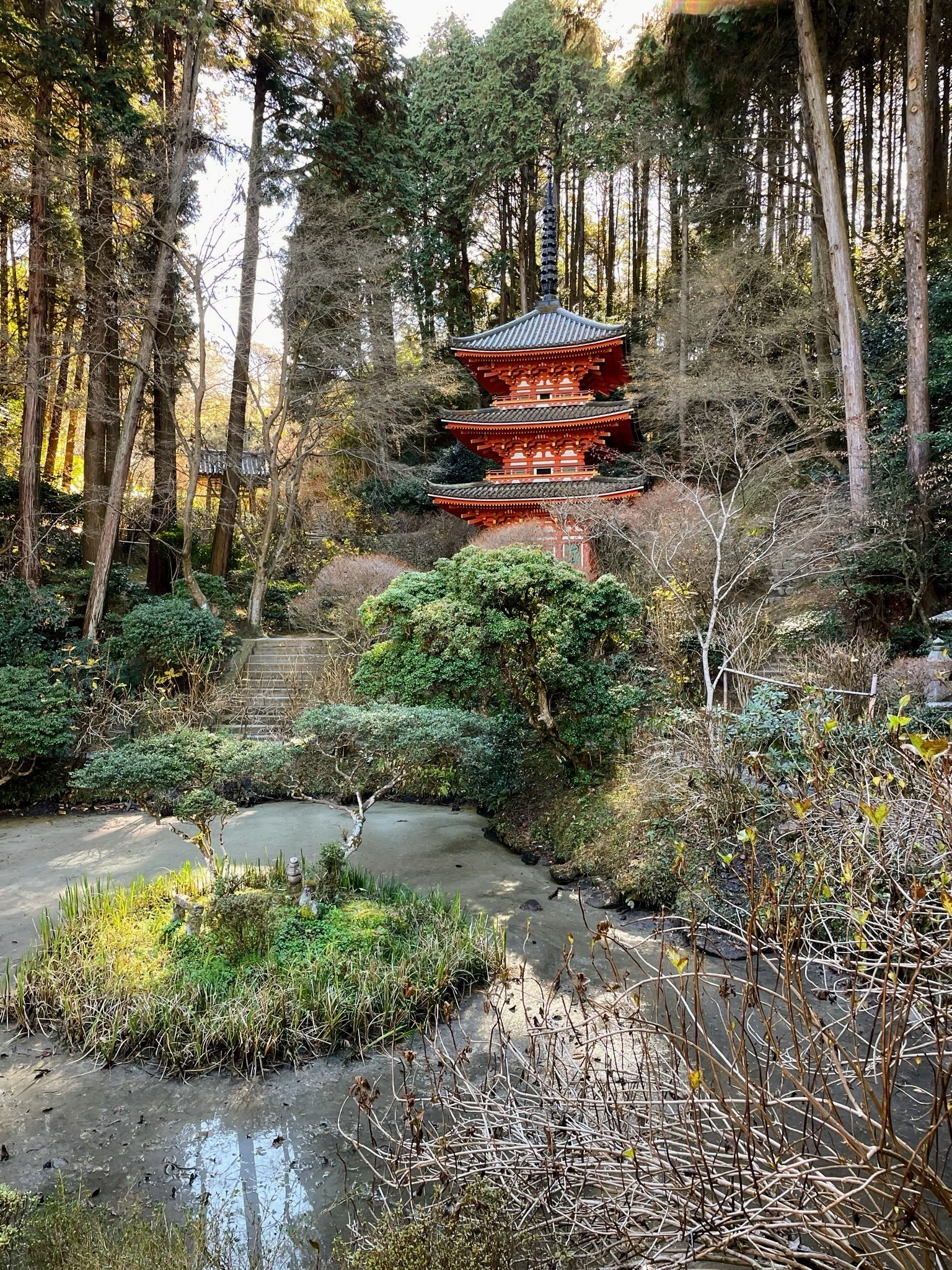 浄瑠璃寺の冬と、カワイイものたち 京都・木津川｜美術館とお寺と猫