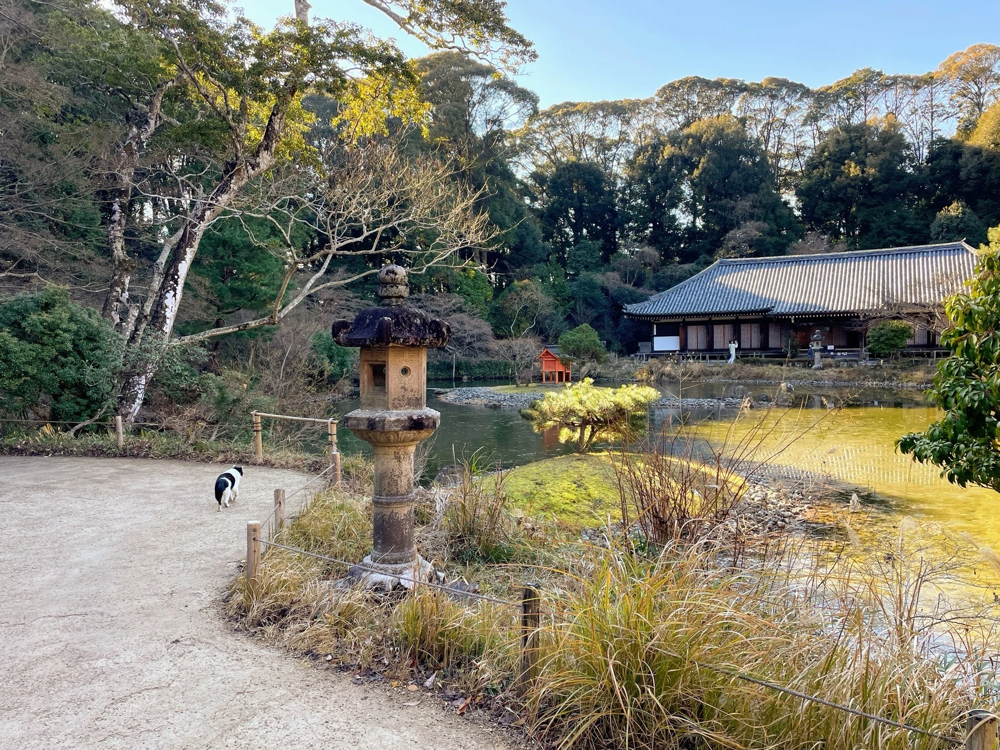 浄瑠璃寺の冬と、カワイイものたち 京都・木津川｜美術館とお寺と猫