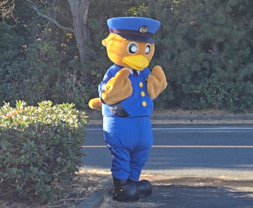 令和8年茨城県警察視閲式｜仂せんぱい