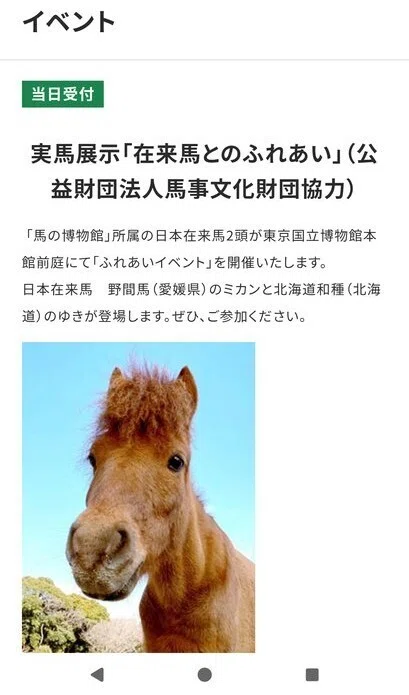 お馬に会えて大満足。──数年ぶりの「博物館に初もうで」東京国立
