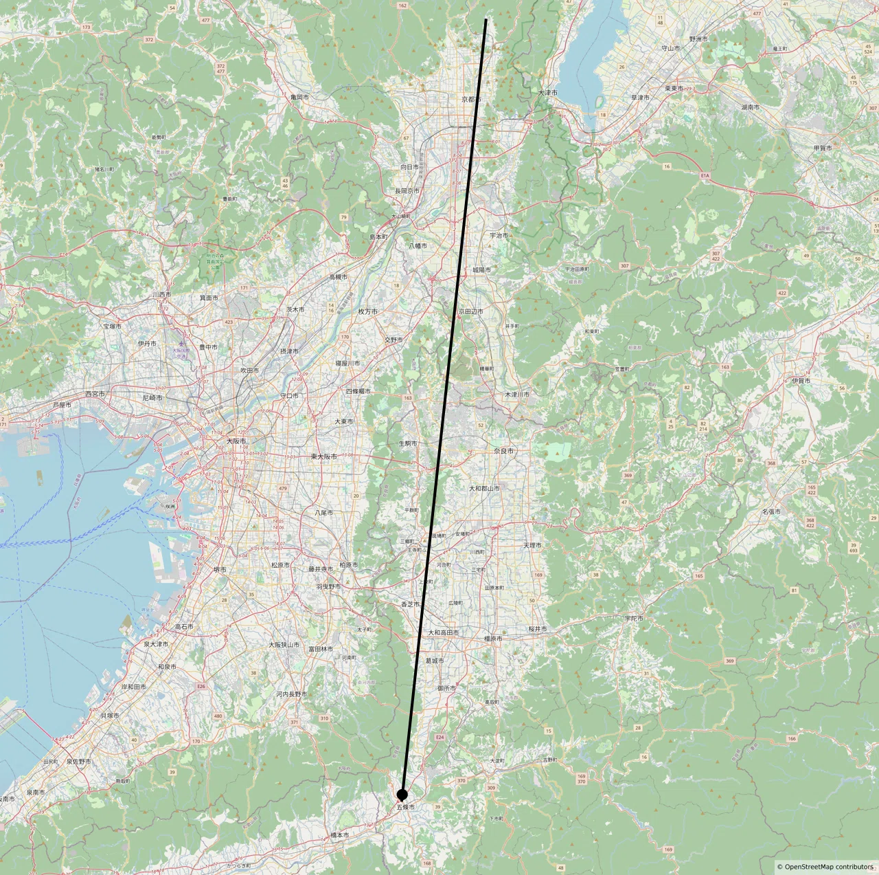 あの飛行機雲は想像よりも遥か遠くの空に浮かんでた｜夏と放し飼い