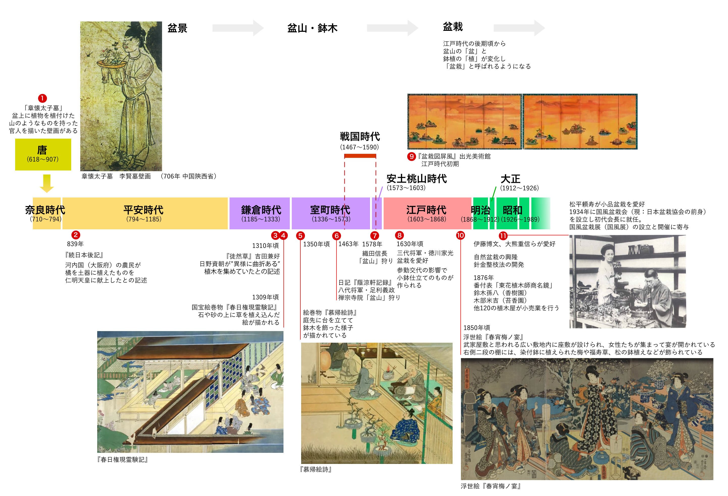 盆栽の歴史（前半）｜しんとう公子