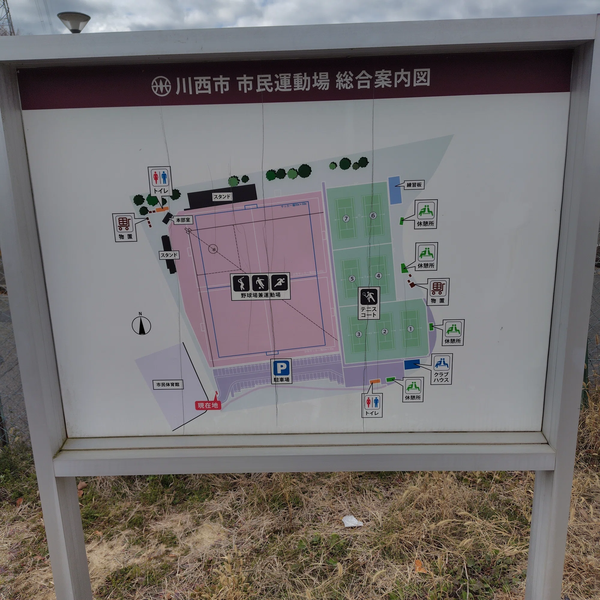 公の場での発言・インタビュー報道記録