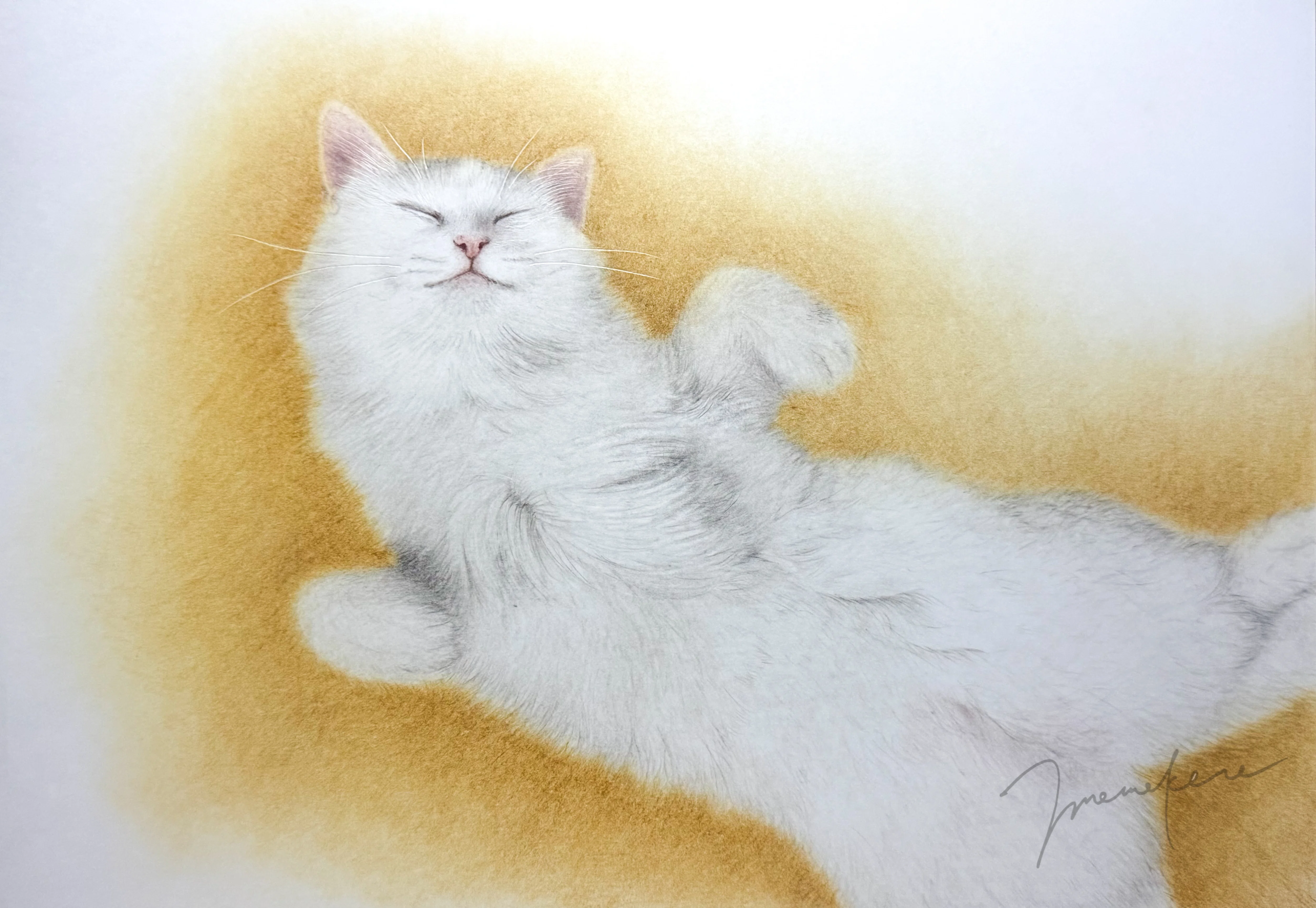 白猫ちゃんを描いていきます｜mamekoro