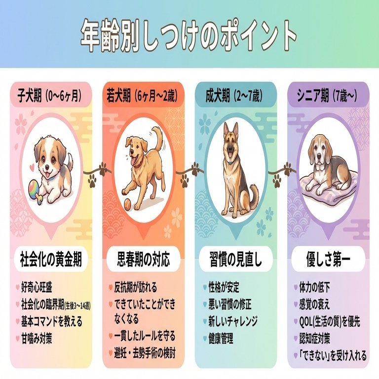 勇気 臆病な犬理論