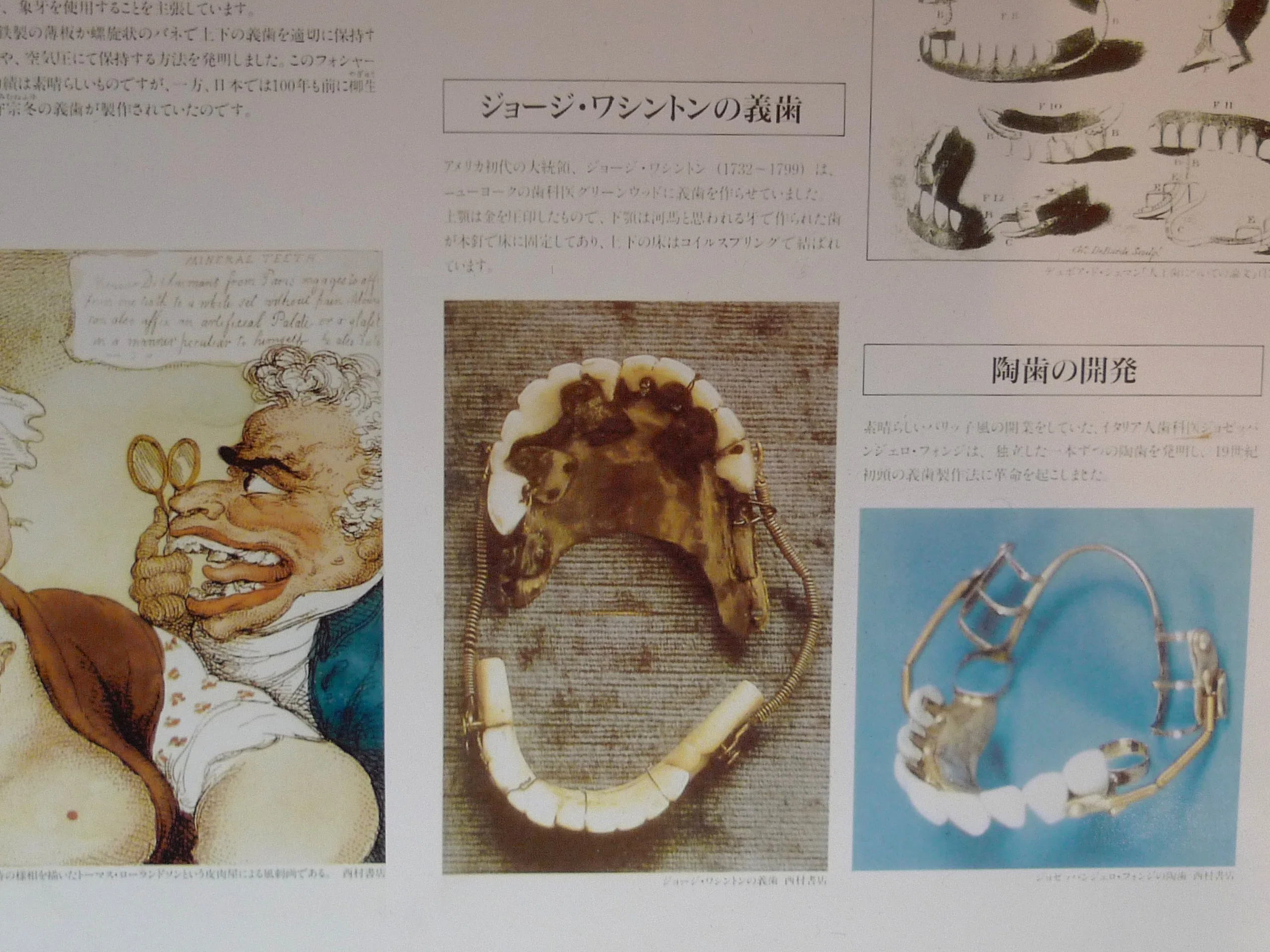 名古屋】マニアックすぎる！「歯の博物館」で見るディープな歯科の世界