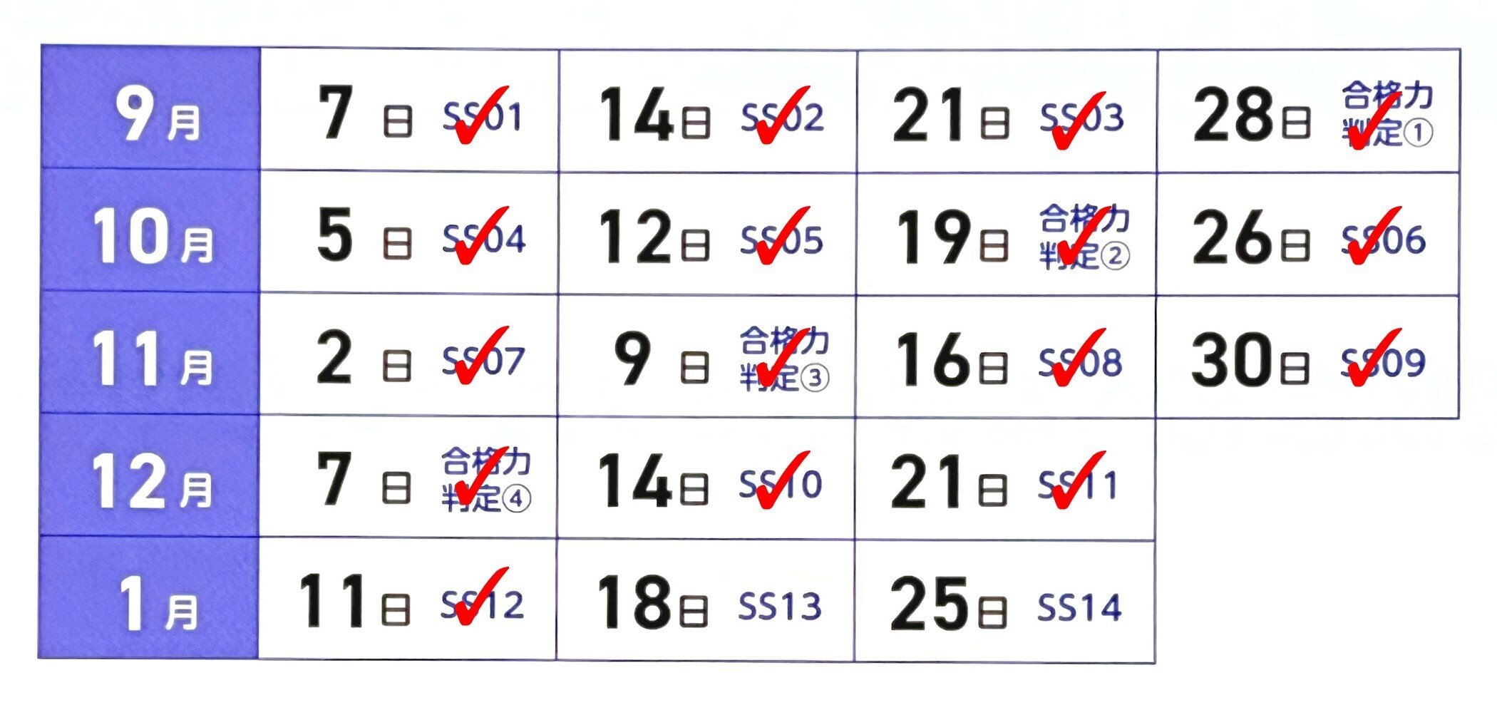サピックス 6年生 1月→12月 16回分 年間テスト 24年度 SAPIX 6年生 テスト問題解説セット SAPIX新6年3月度組