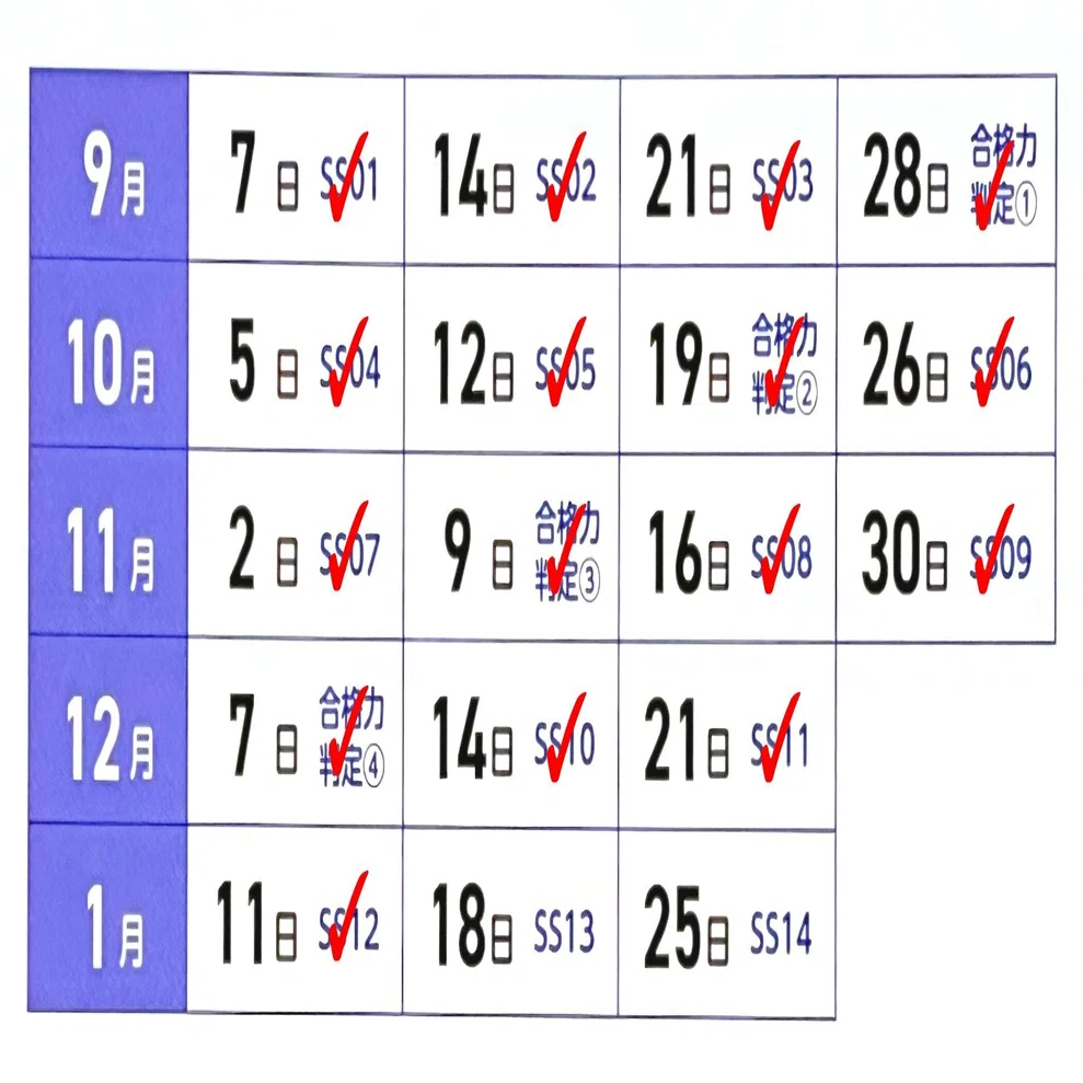 中学受験】年明け最初のSS特訓とSAPIXのZoom授業【小6サピックスα1・冬 