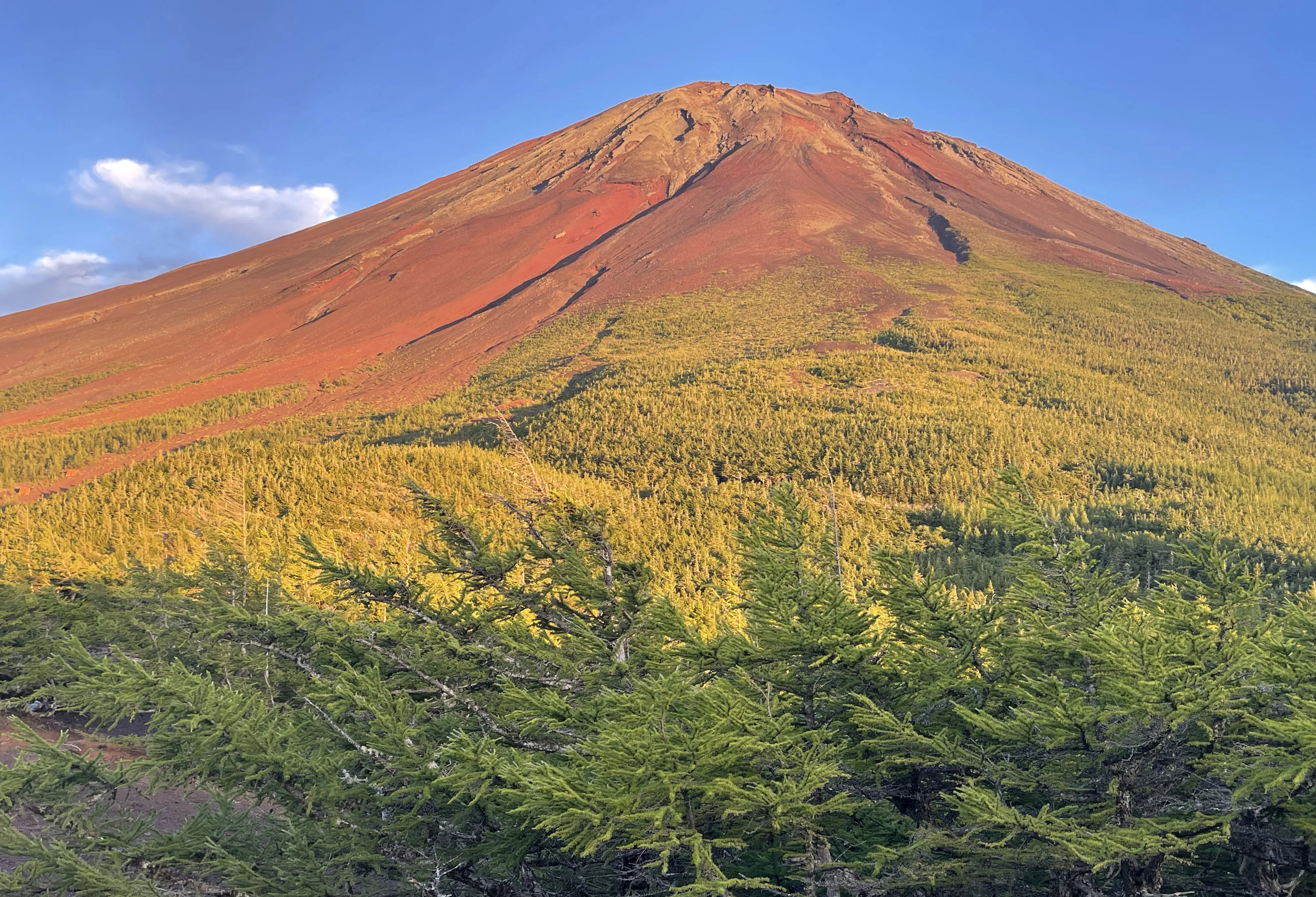 関西人が見る富士山｜正しい山｜地球リスペクトのすゝめ | わだきみこ