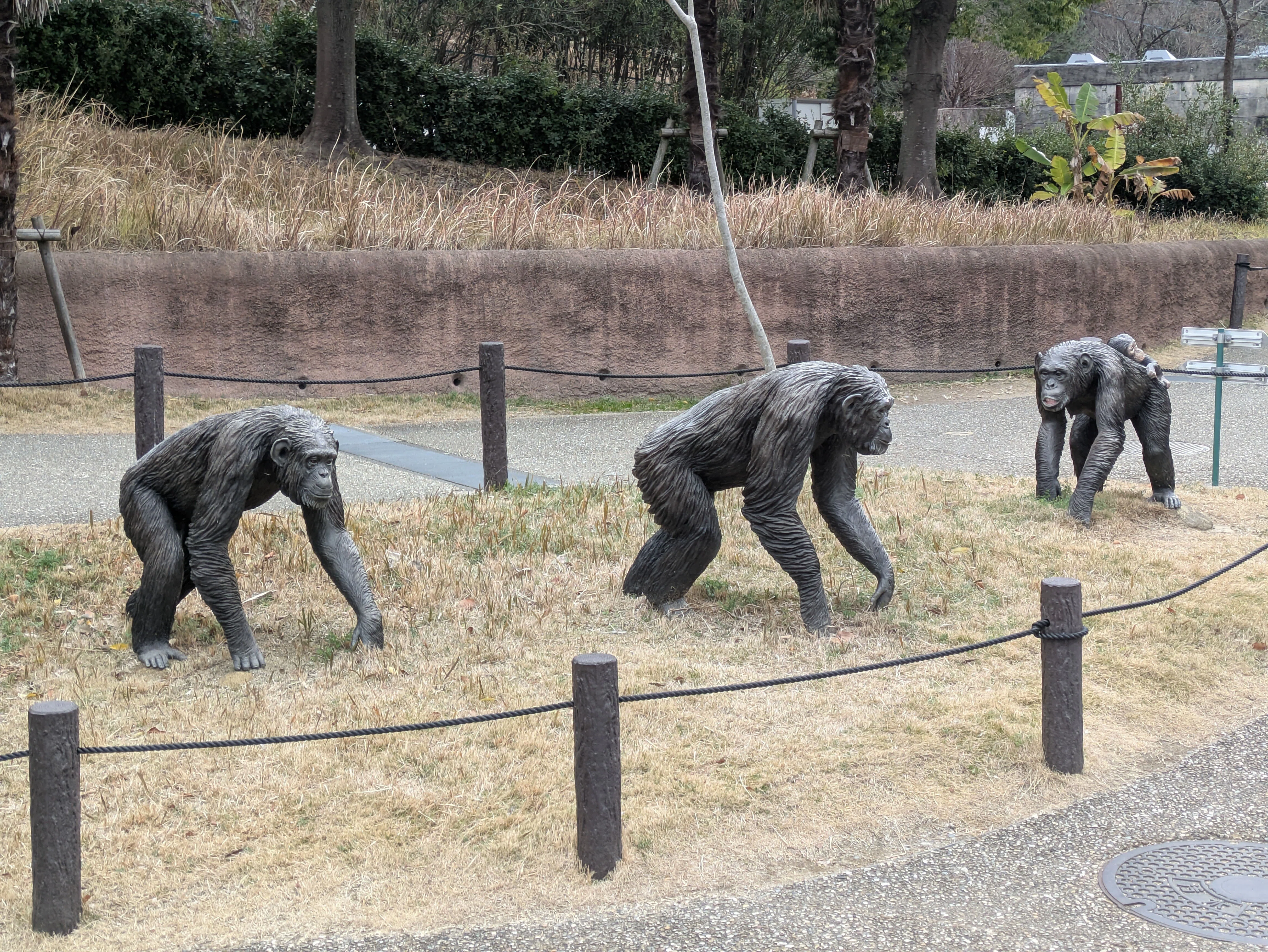 記念メダル】東山動植物園であつめる｜ATUPON
